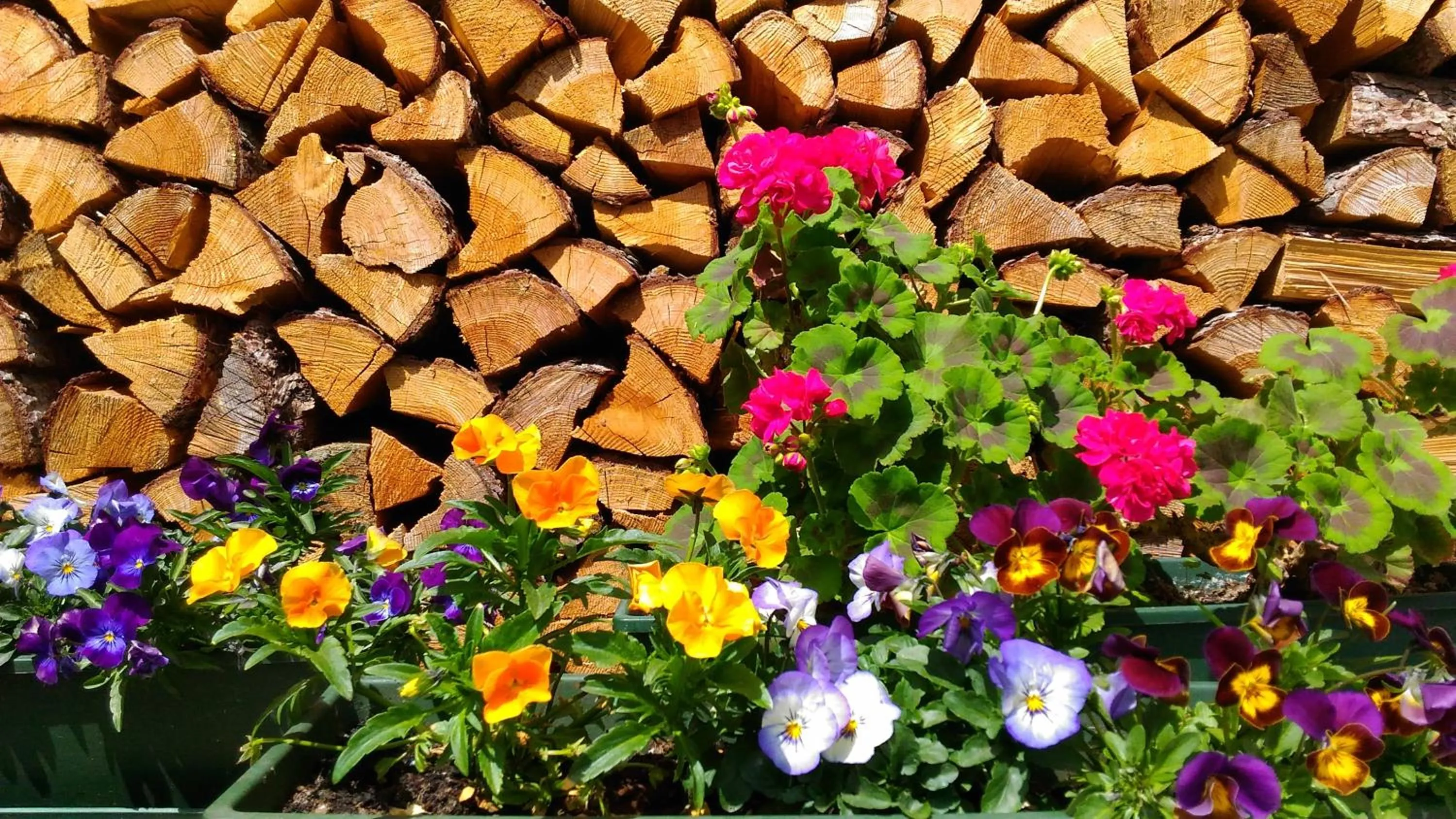 Summer in Bed & Breakfast Campaciol