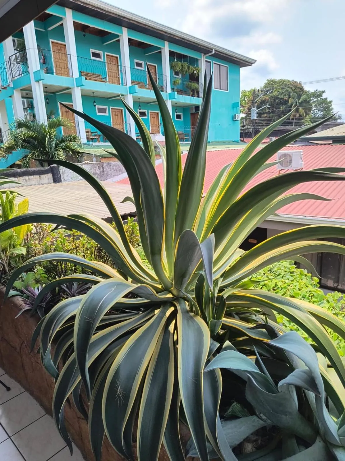 Garden in Hotel La Vid La Fortuna