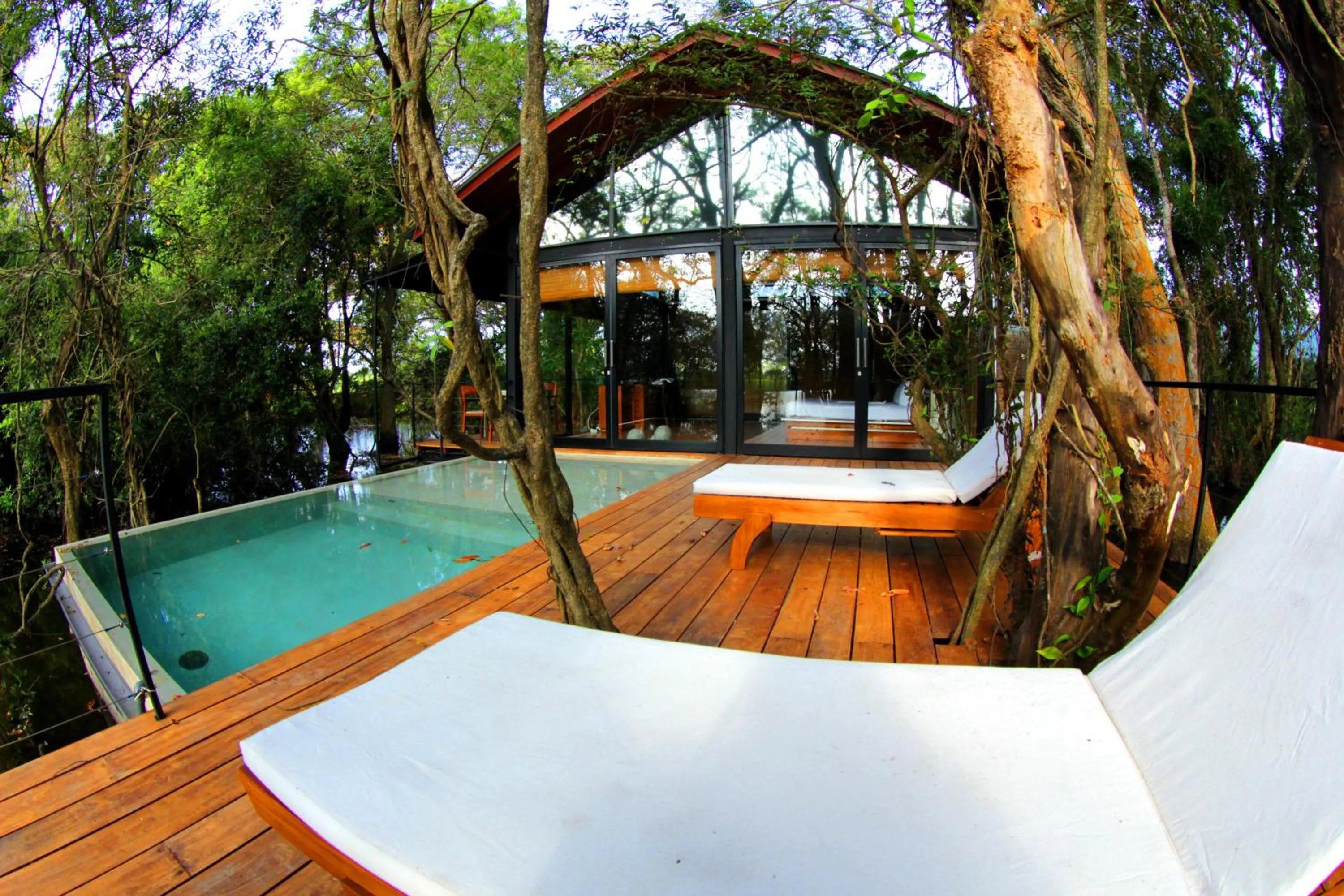 Swimming pool in Kalundewa Retreat