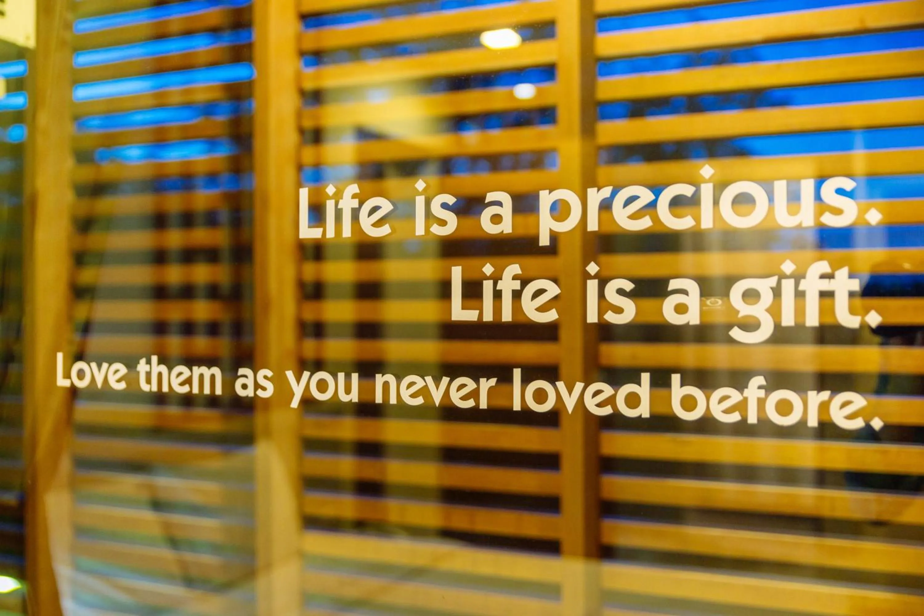 Balcony/Terrace in Siamaze Hostel