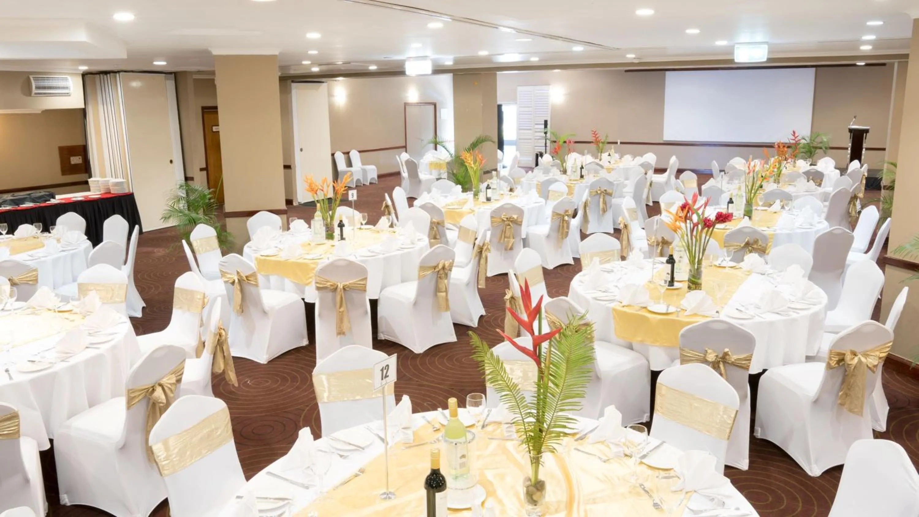 Banquet/Function facilities in Holiday Inn & Suites Port Moresby by IHG