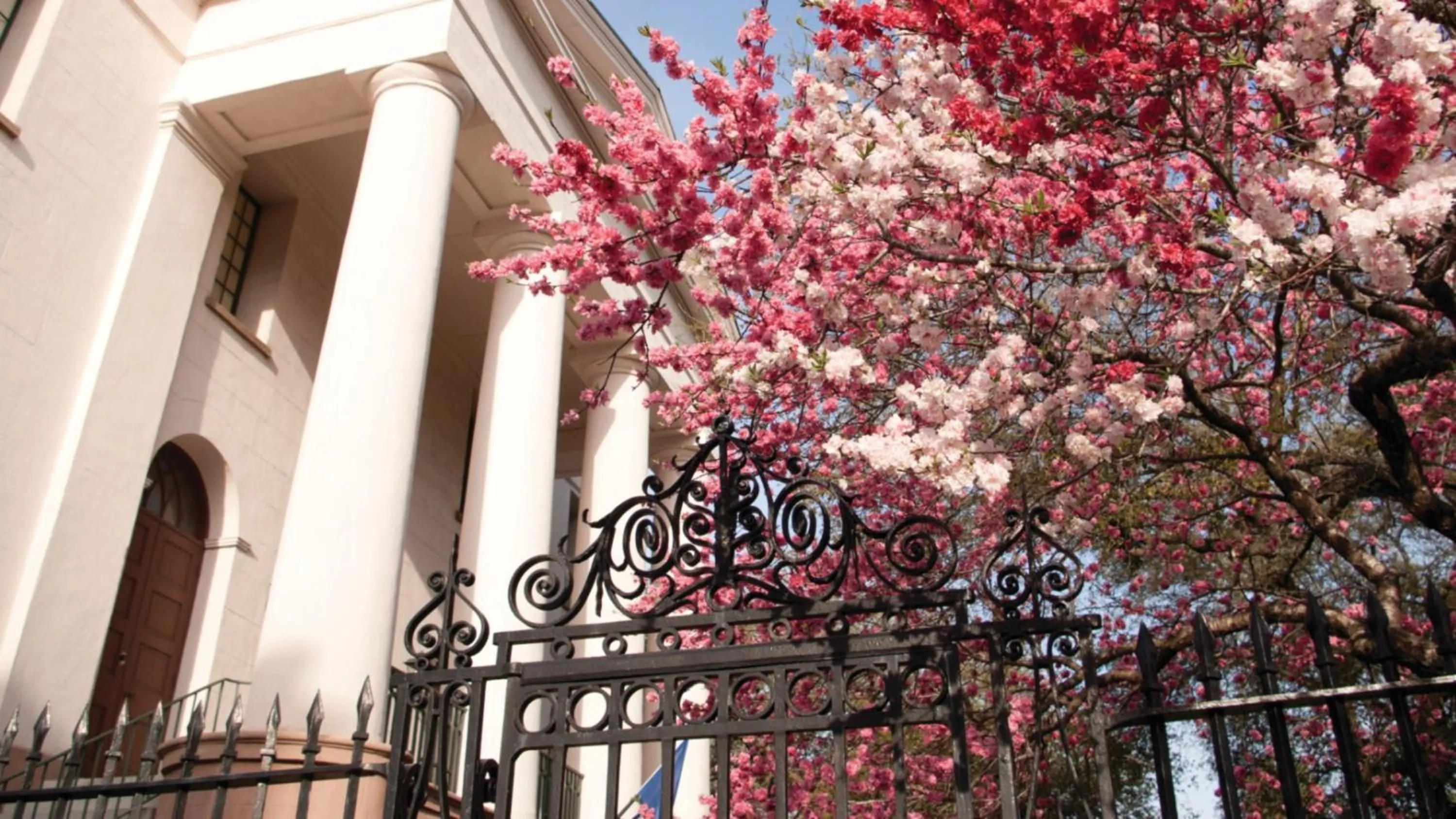 Spring in Live Oak, Charleston Historic District, a Tribute Portfolio Hotel