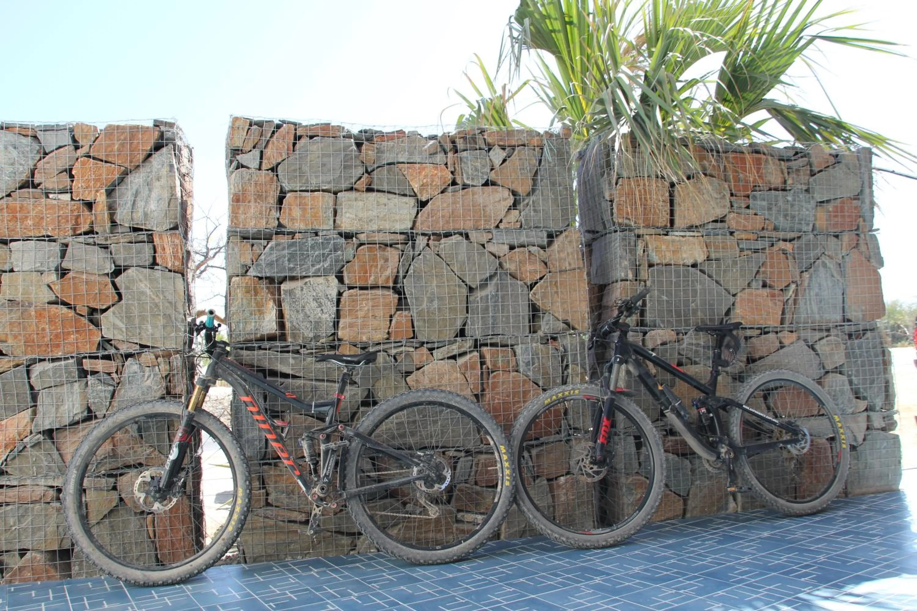 Activities in ChangoMango