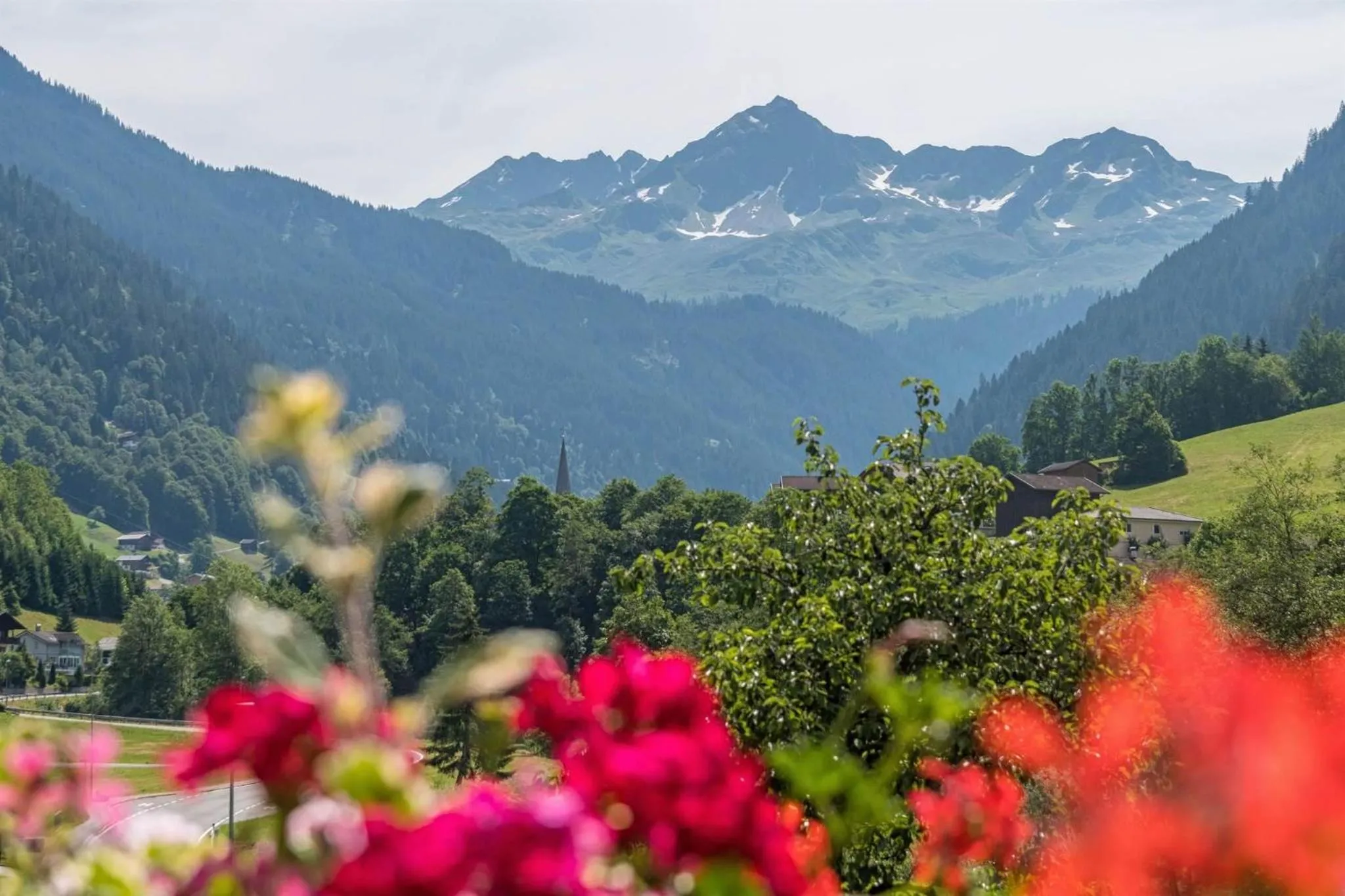 Mountain view in Apparthaus Schuchter