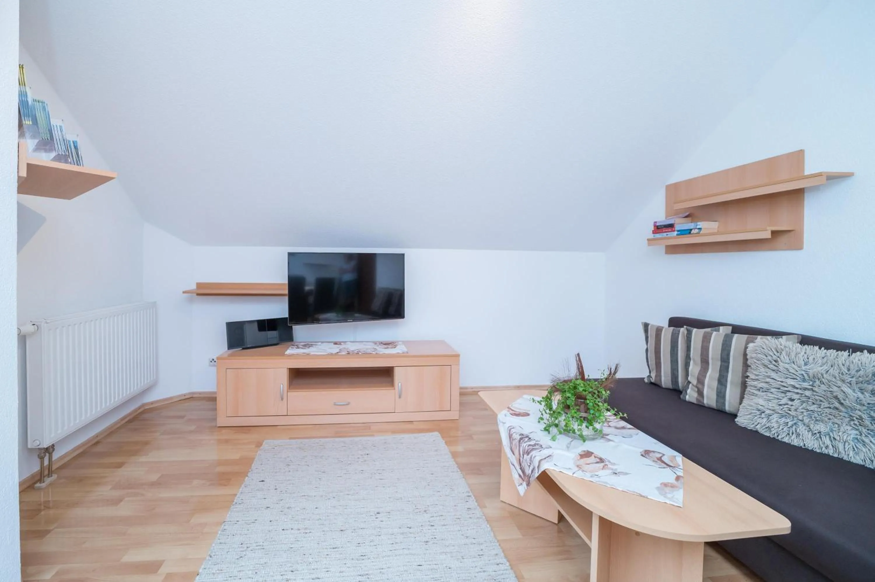 TV and multimedia in Apparthaus Schuchter