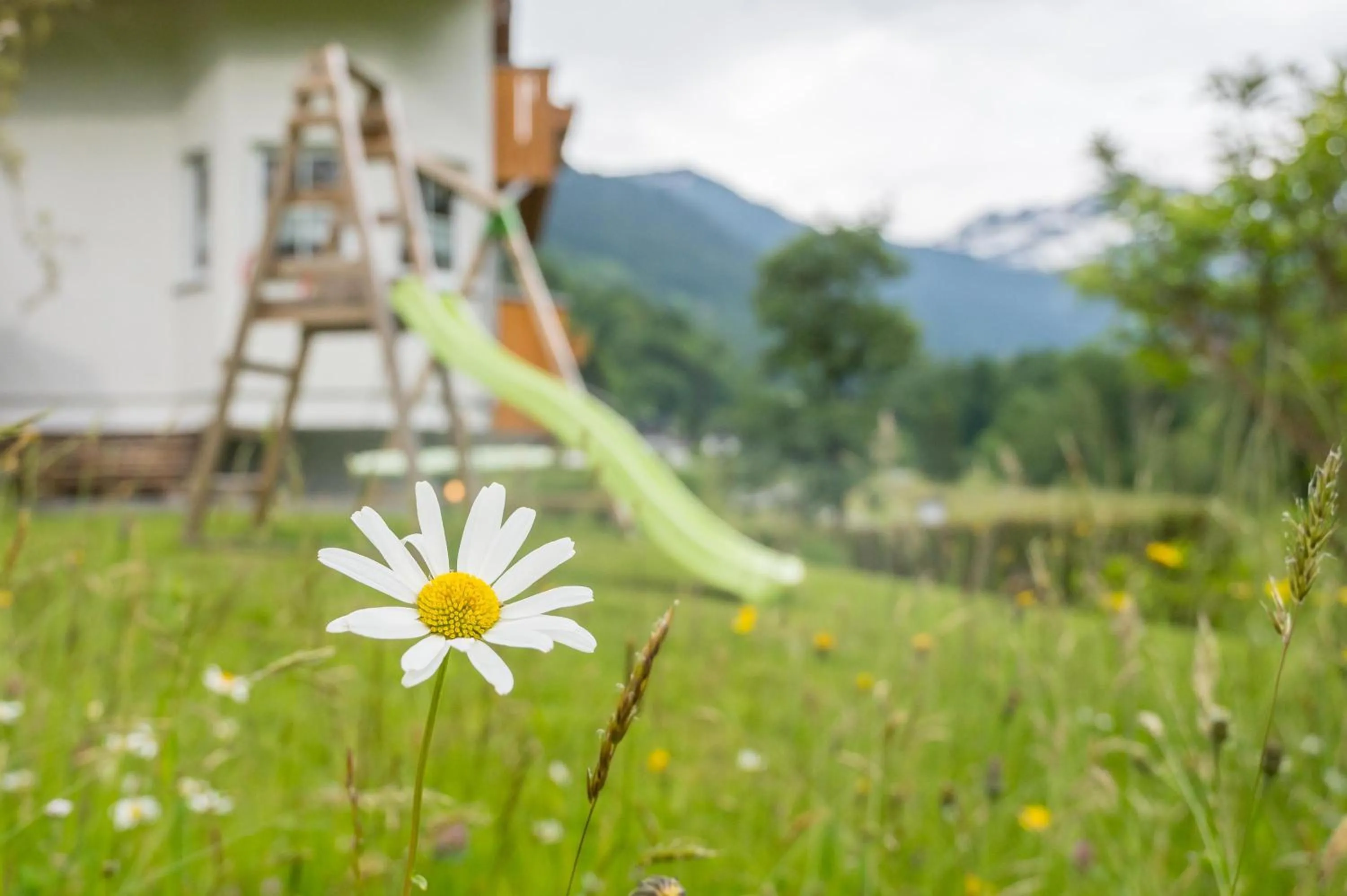 Children play ground in Apparthaus Schuchter