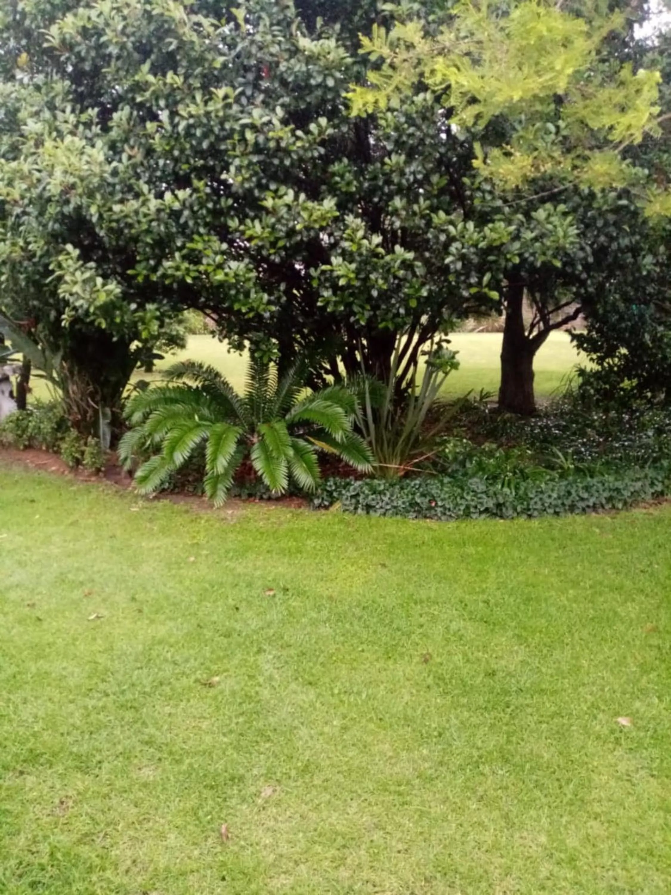 Garden in The Hills Guest House