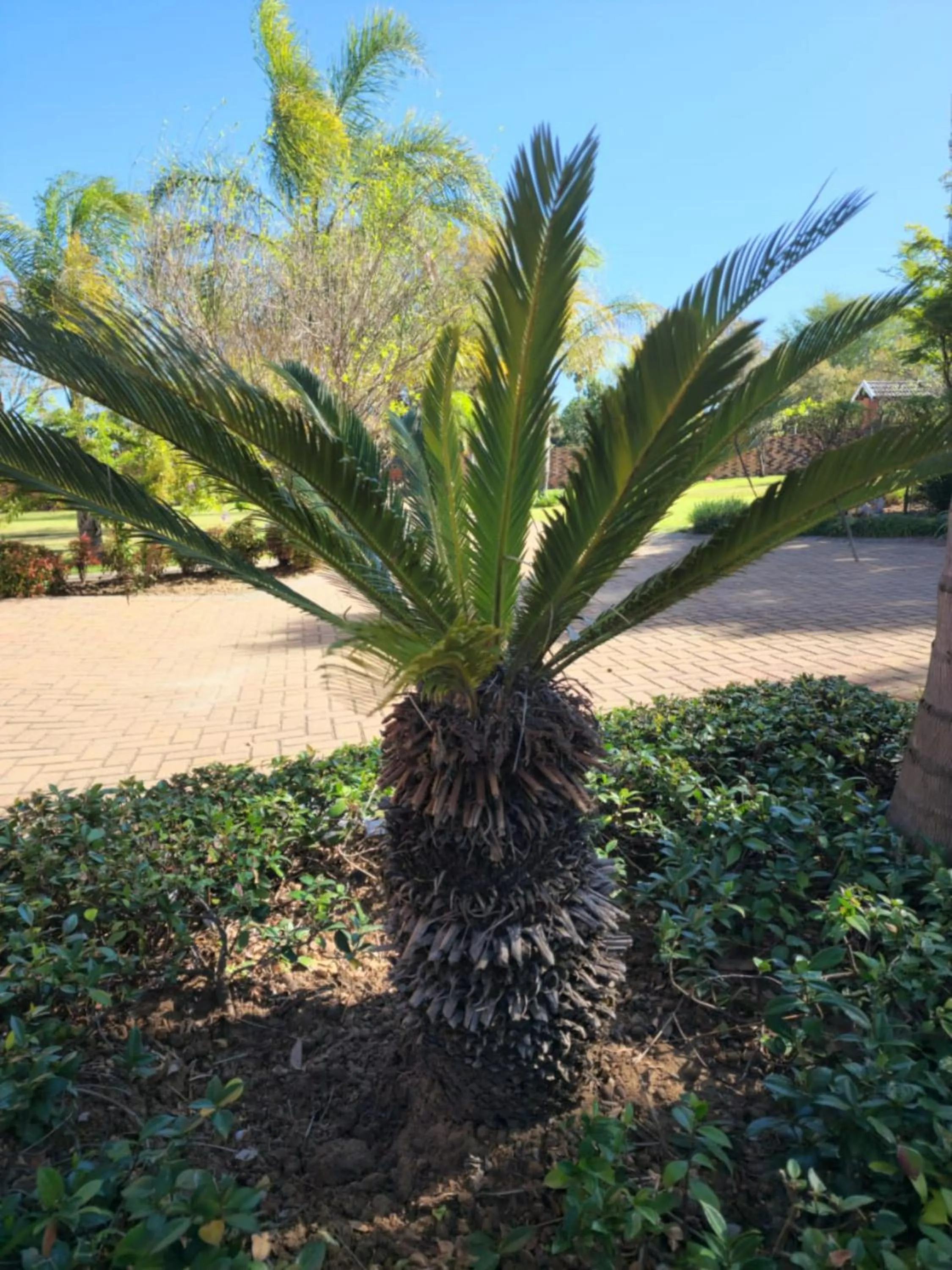Garden in The Hills Guest House