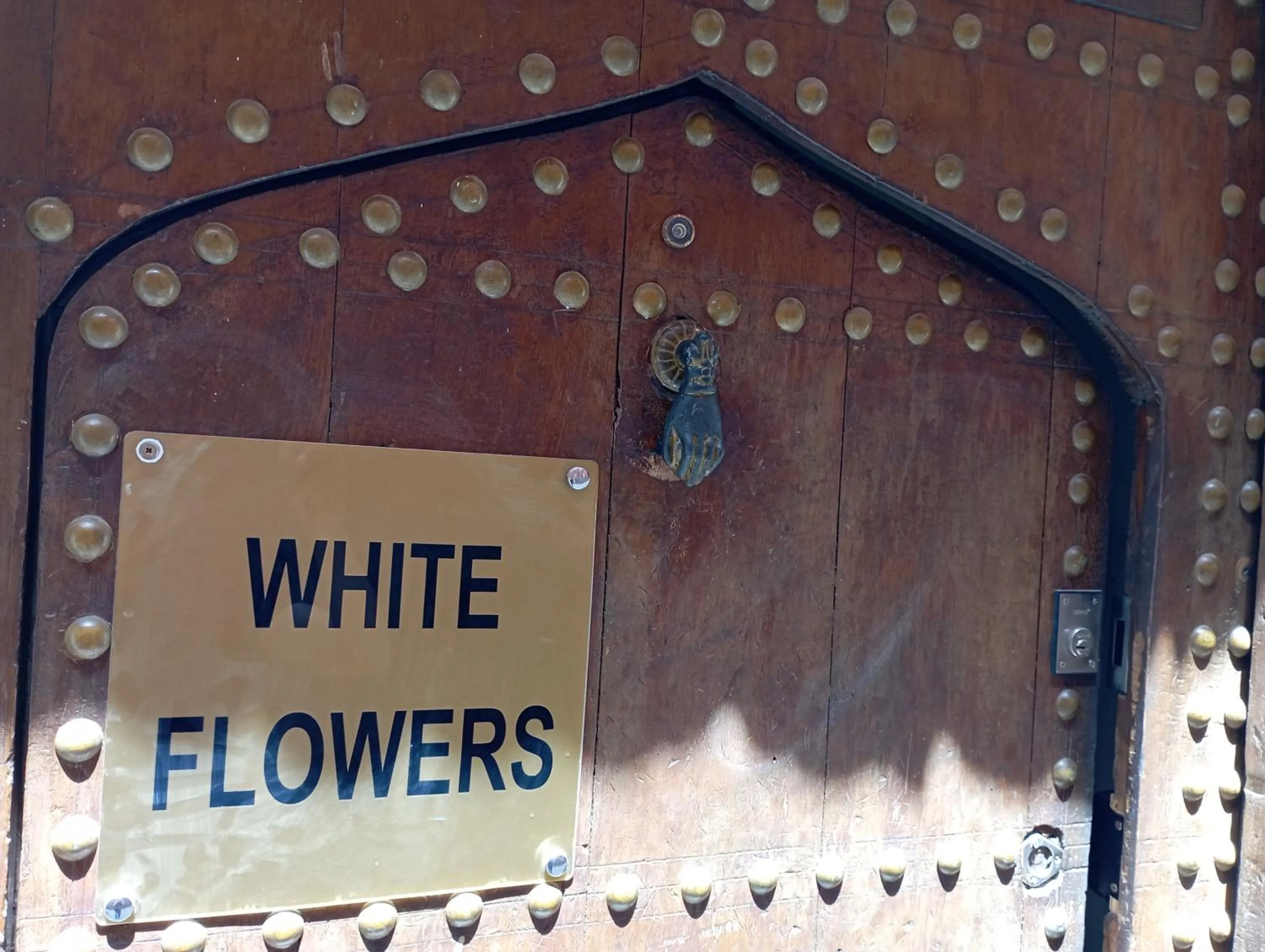 Riad white flowers