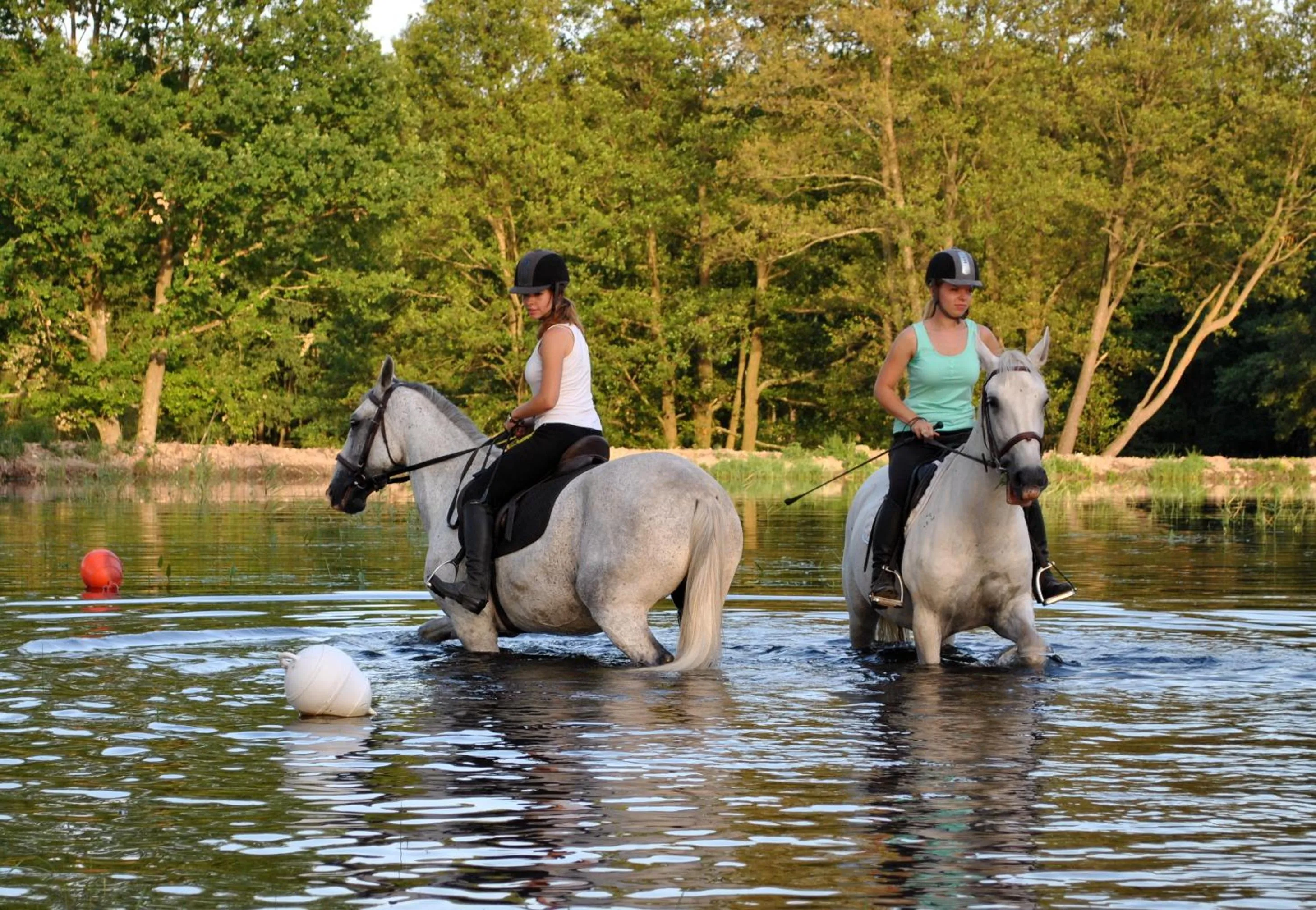 Horse-riding in Hotelový a jezdecký areál Dvůr Krutěnice