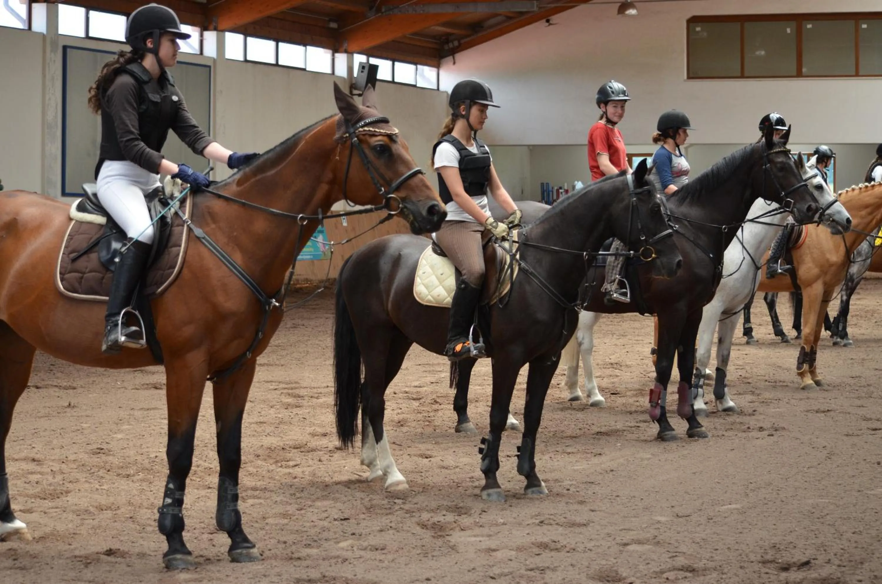Horse-riding in Hotelový a jezdecký areál Dvůr Krutěnice