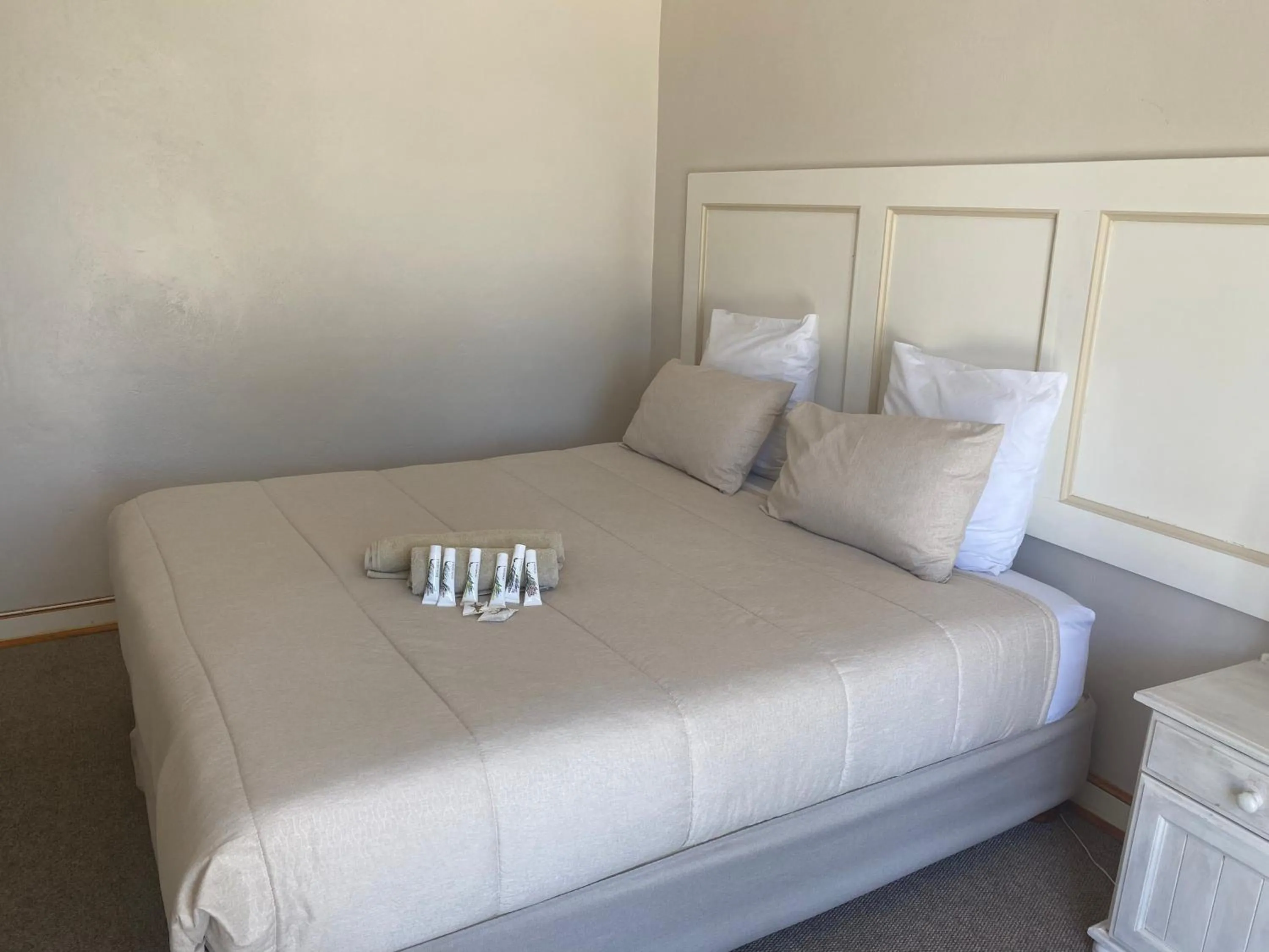 Double Room - single occupancy in La Capucine