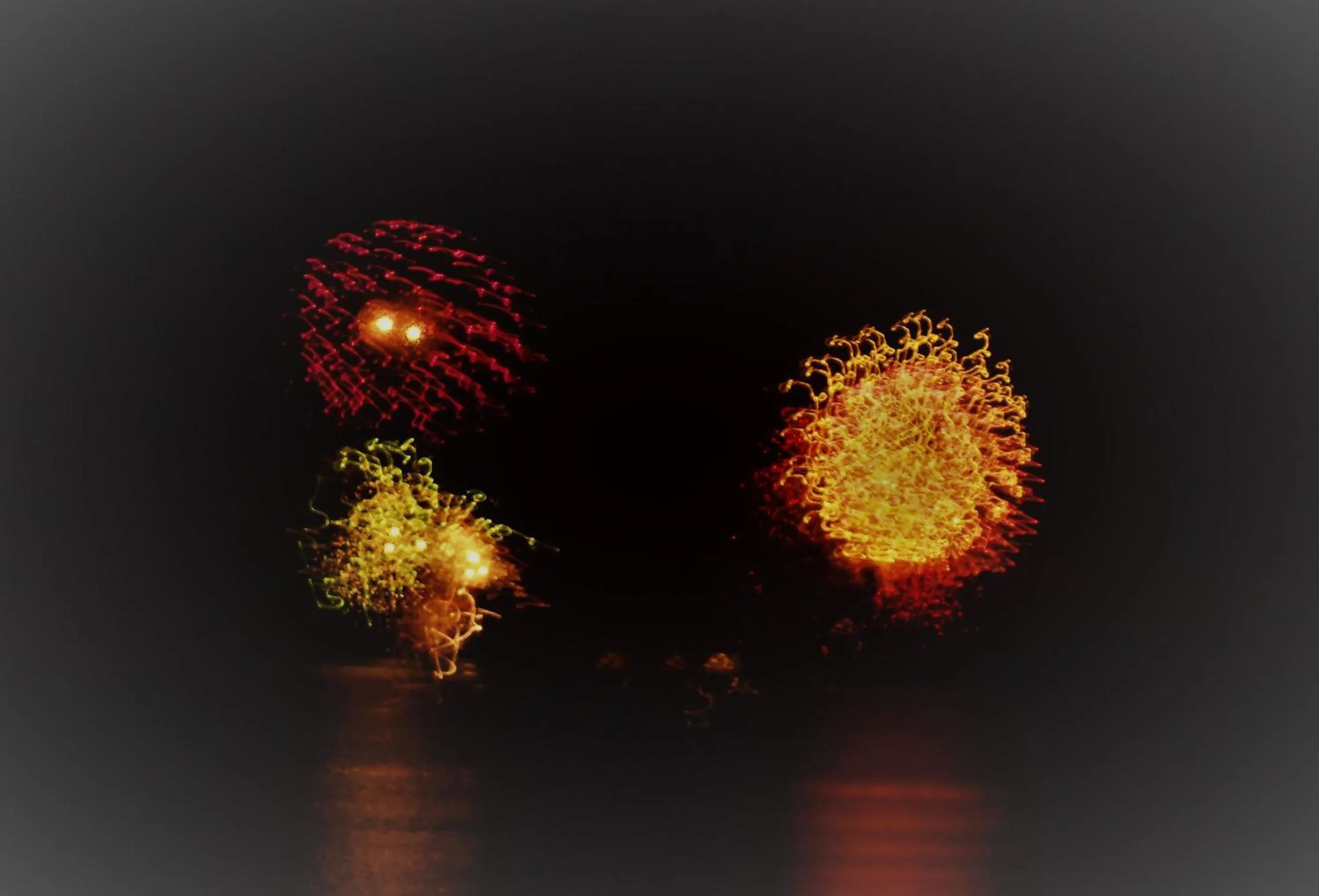 Le cactus guesthouse