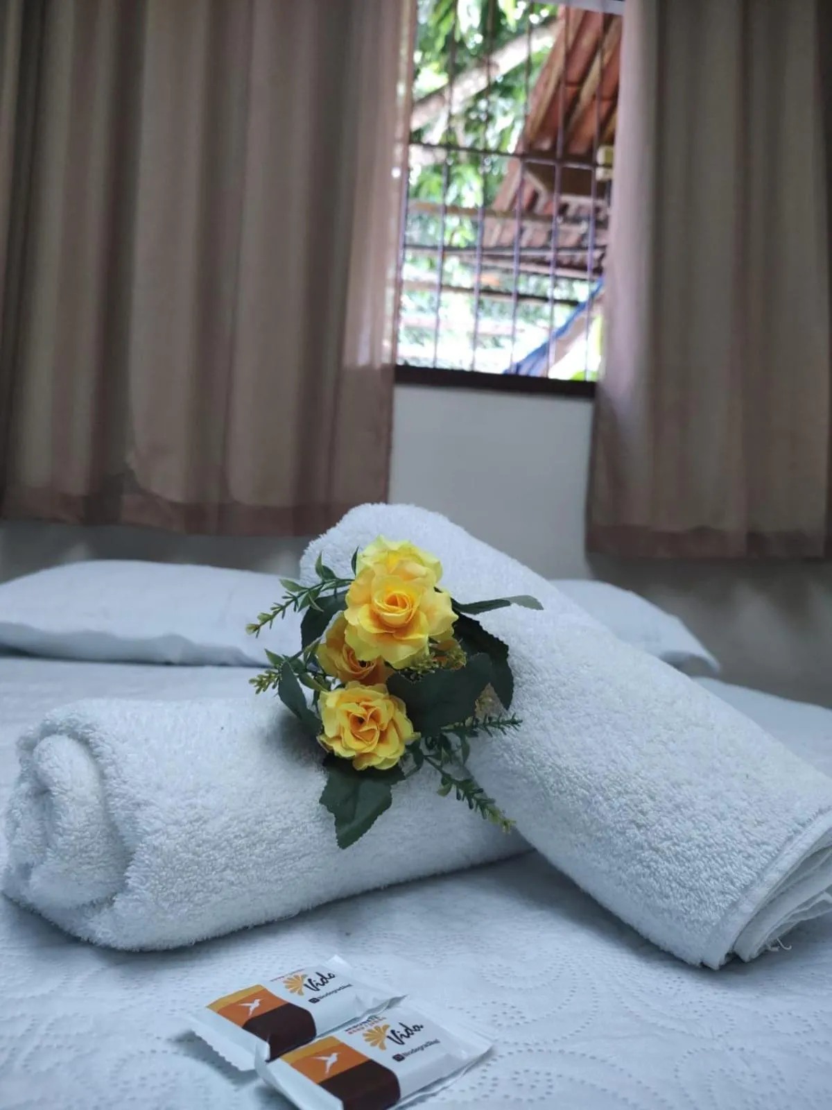 Deluxe Suite with Spa Bath in Pousada Flor D' Açucena