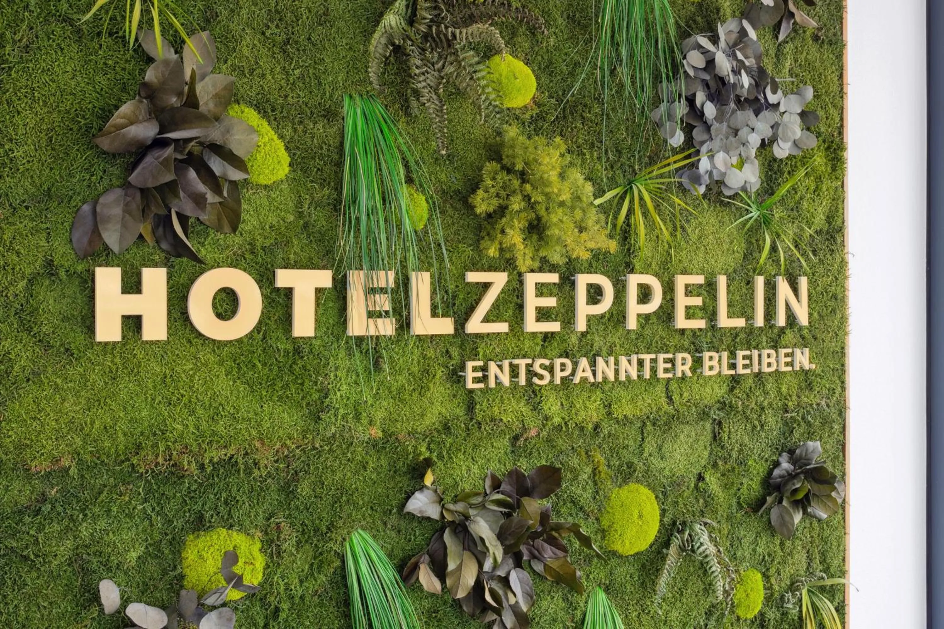 Restaurant/places to eat in Hotel Zeppelin