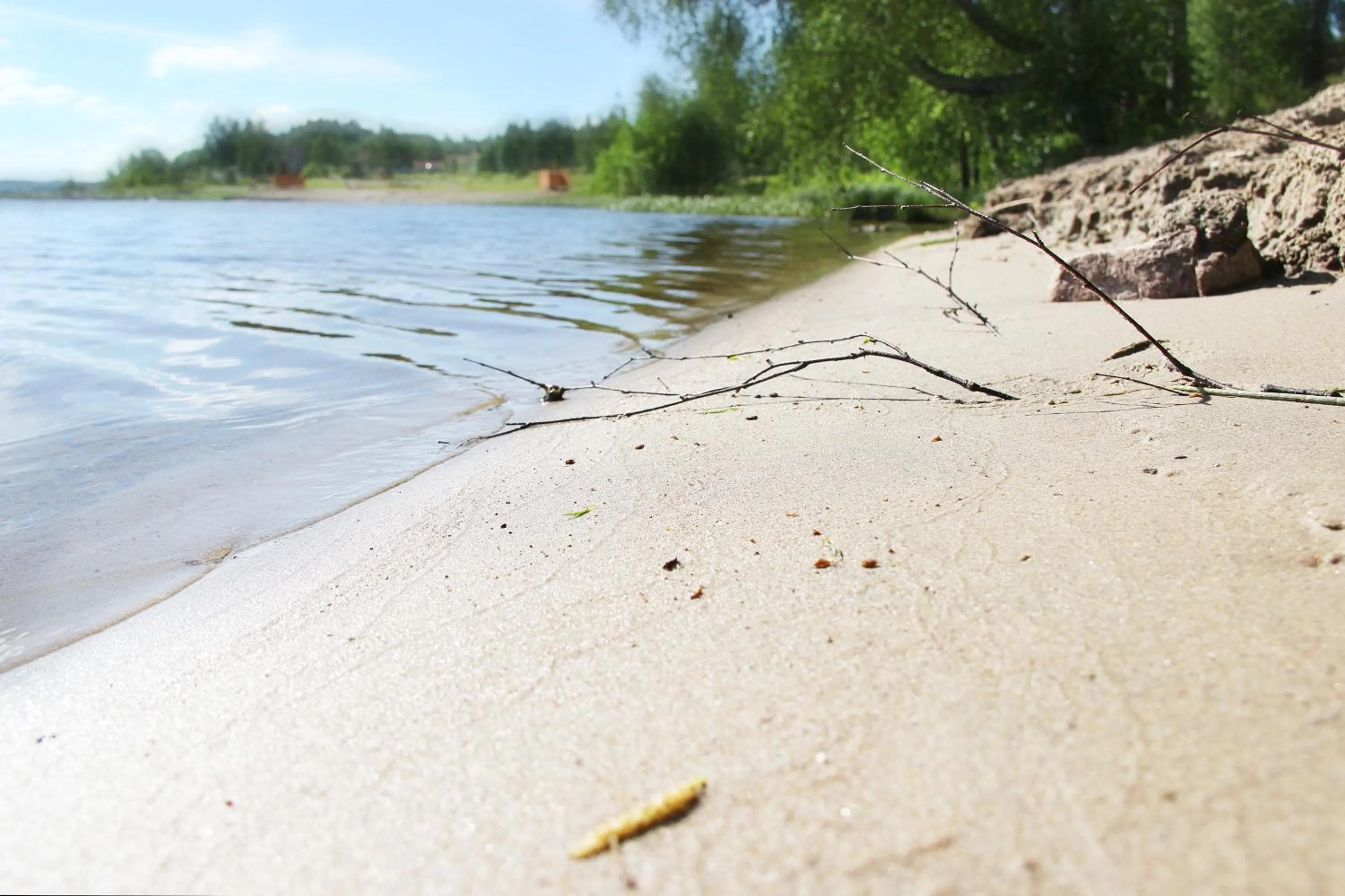 Area and facilities in Summer Hotel Tähtelä, Alkio-opisto