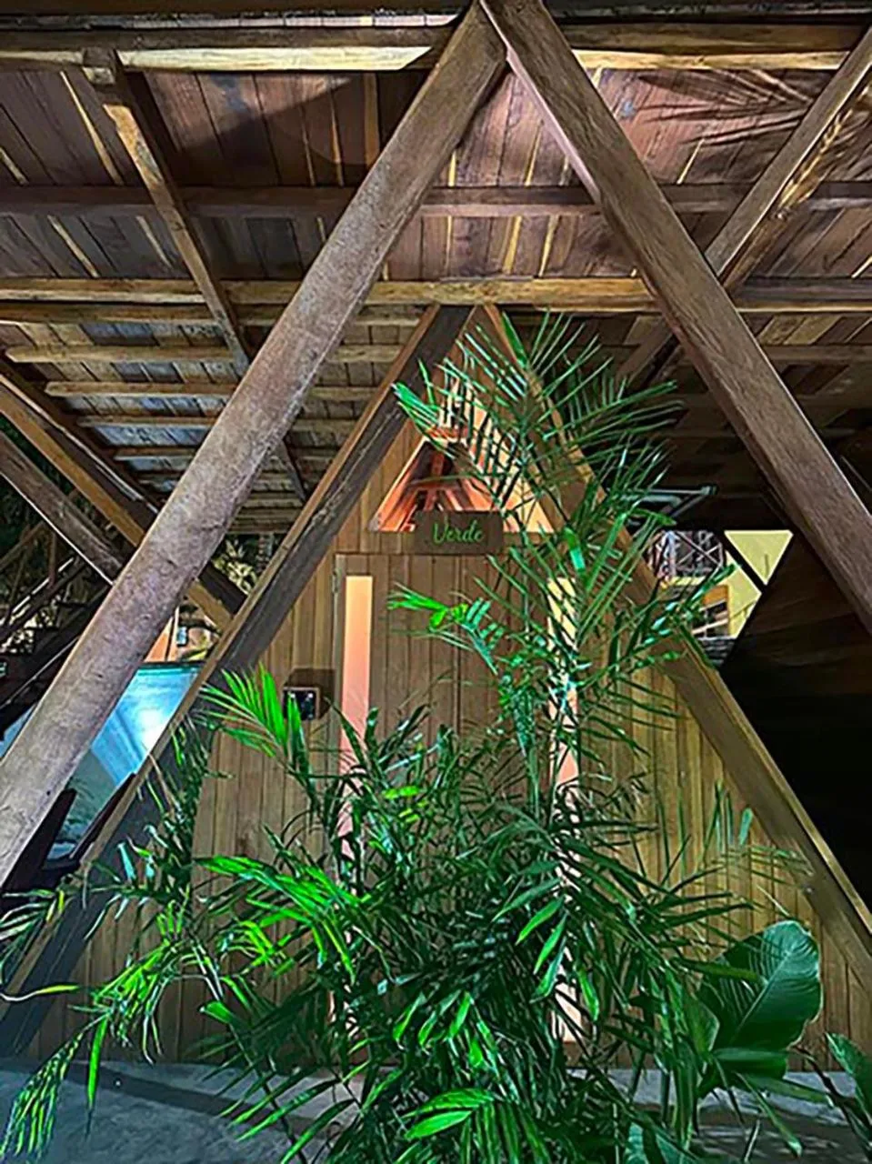 Night in El Búho Lagoon Bacalar