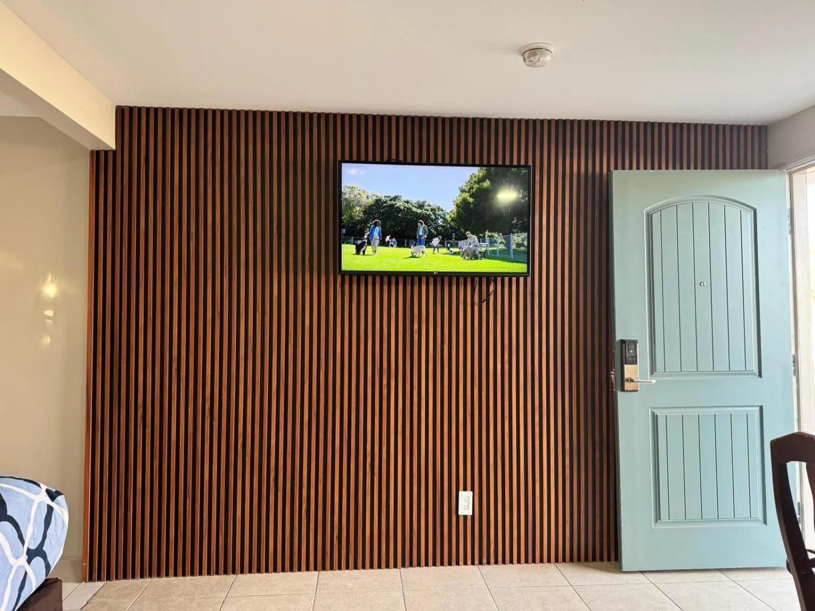 TV and multimedia in Rodeway Inn Ventura Midtown