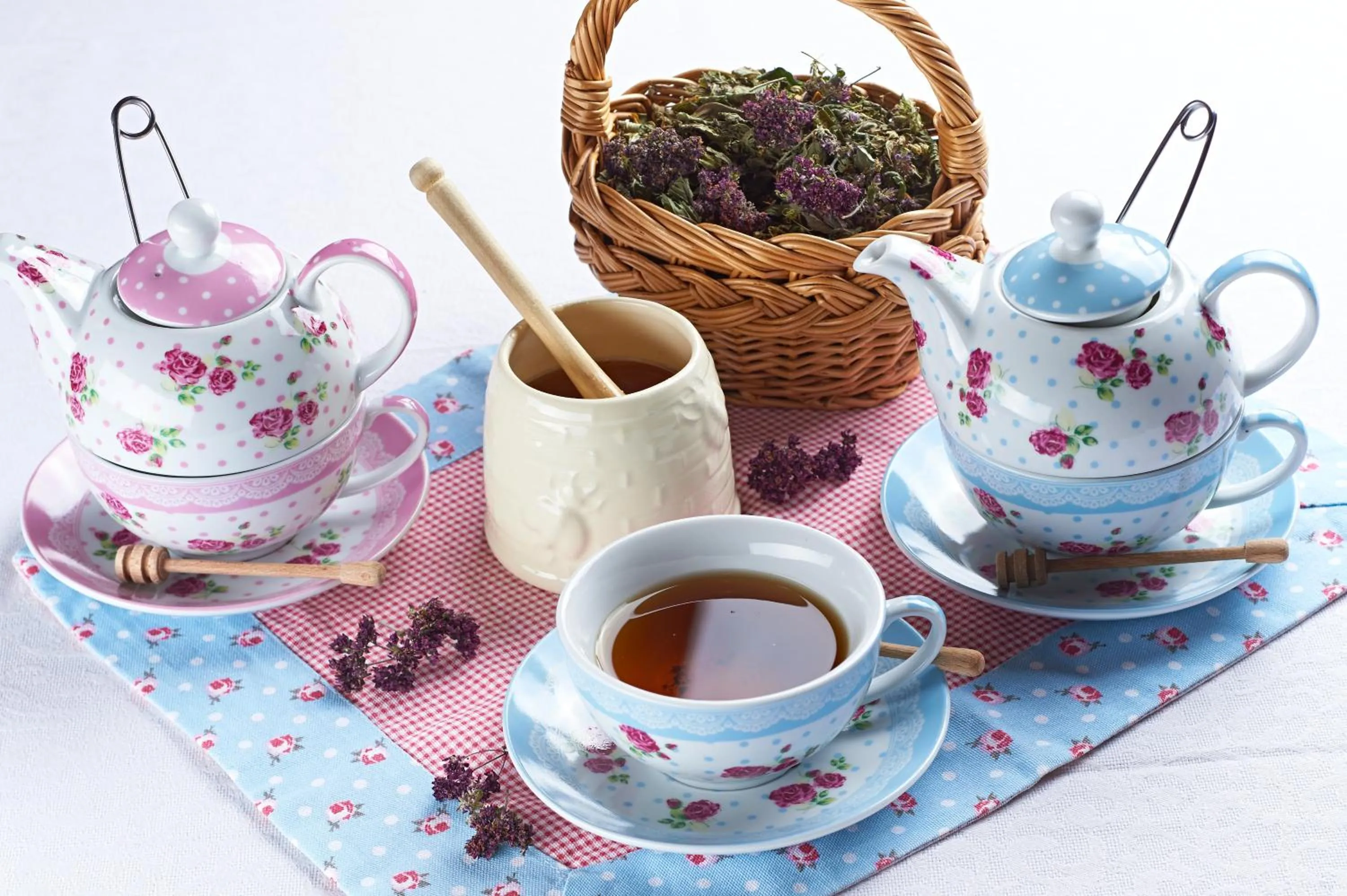 Food and drinks in Eko hiša-Eco House Na razpotju