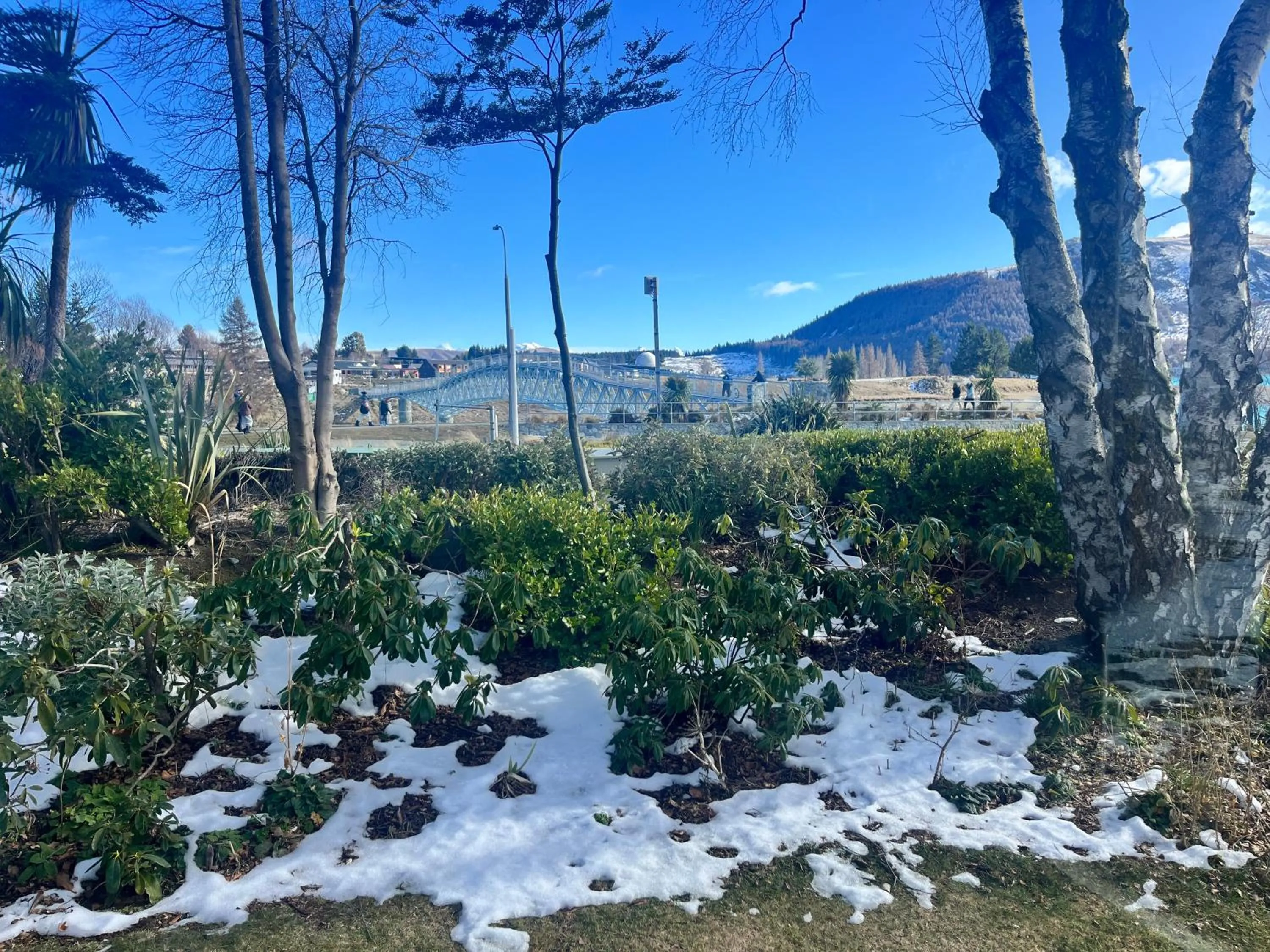 Garden Cottage - Lake Tekapo