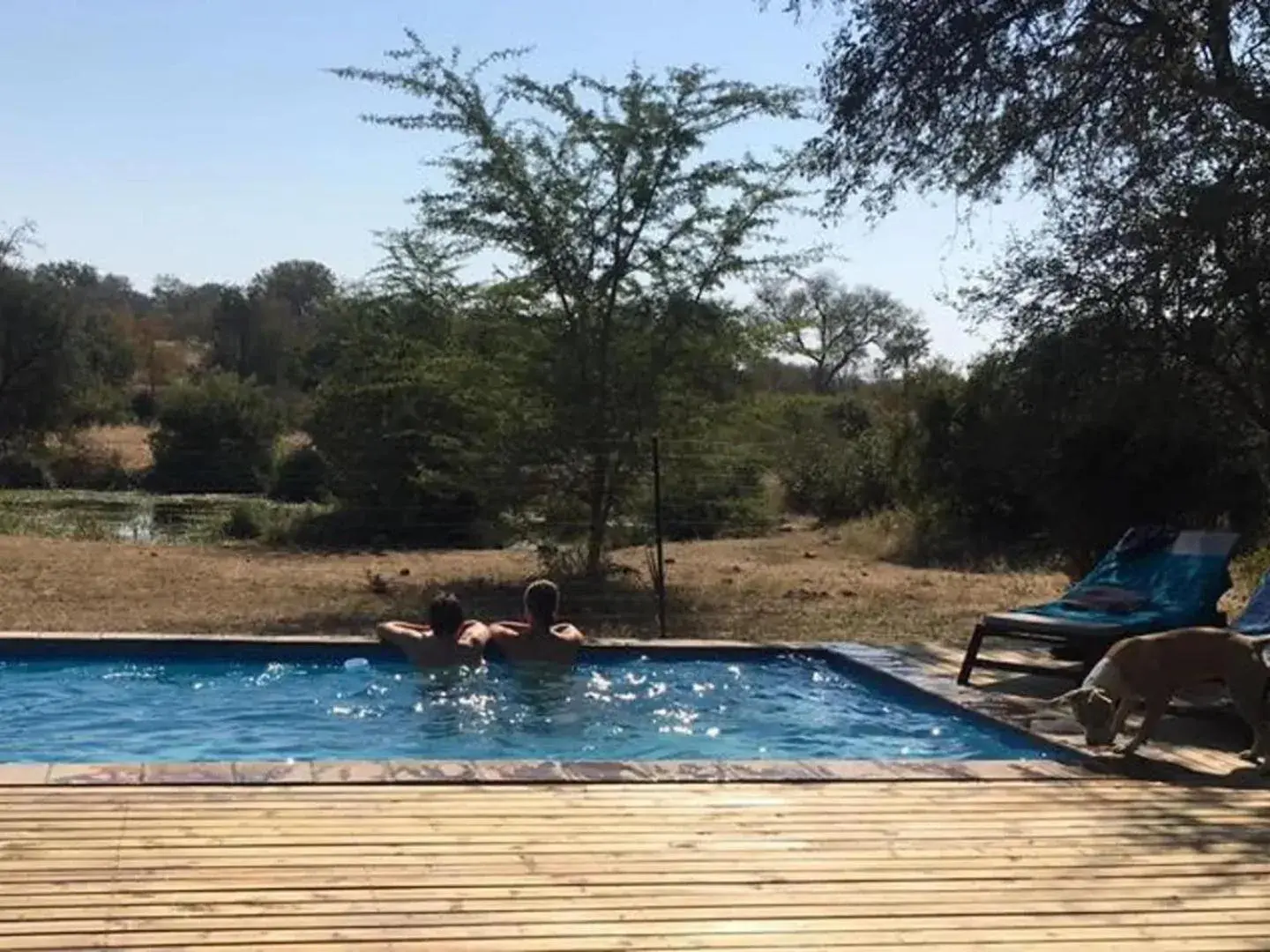 Swimming pool in Zazu Private Bush Lodge, Formerly Masodini Swimming pool in Zazu Private Bush Lodge, Formerly Masodini