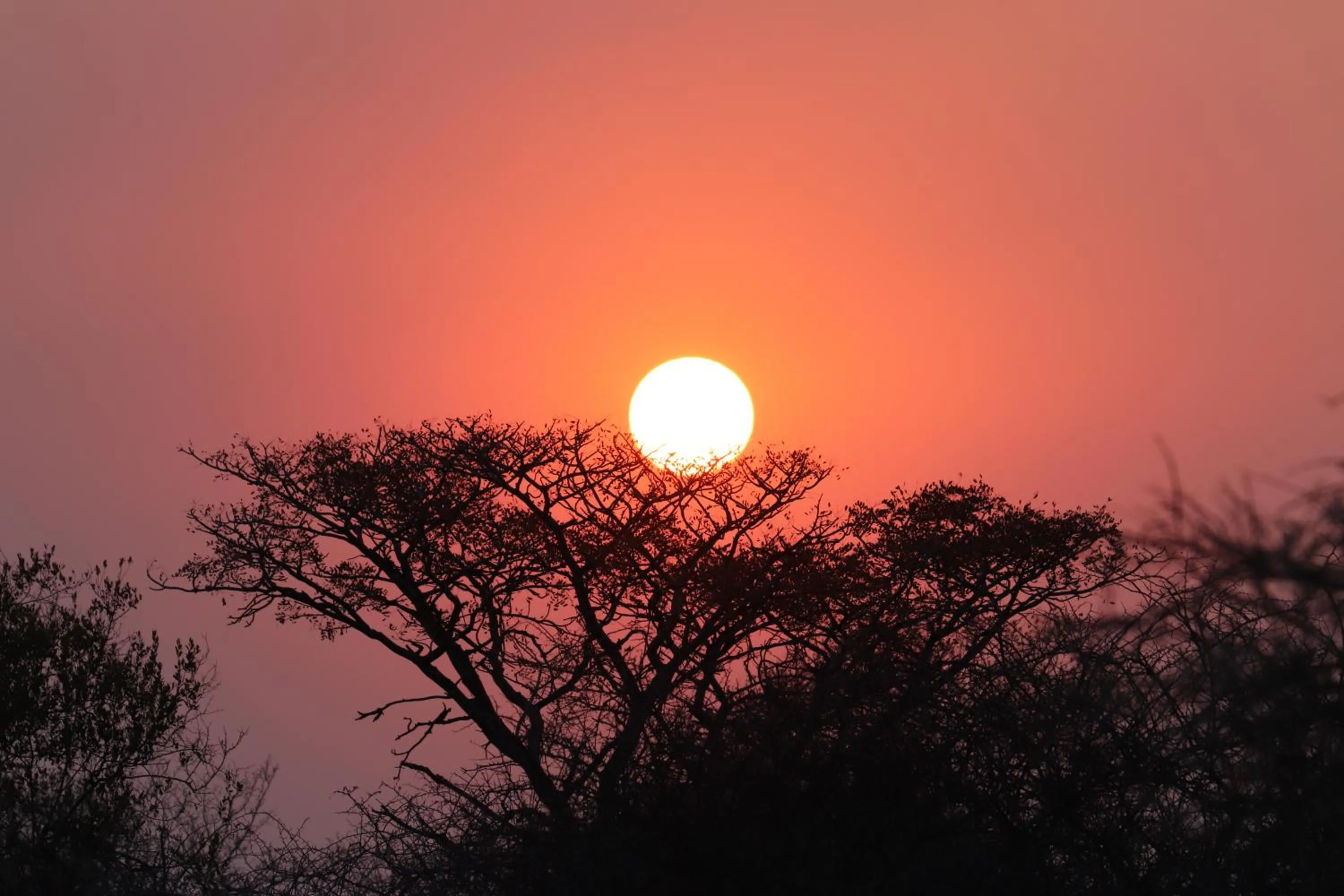 Sunrise in Masodini Game Lodge