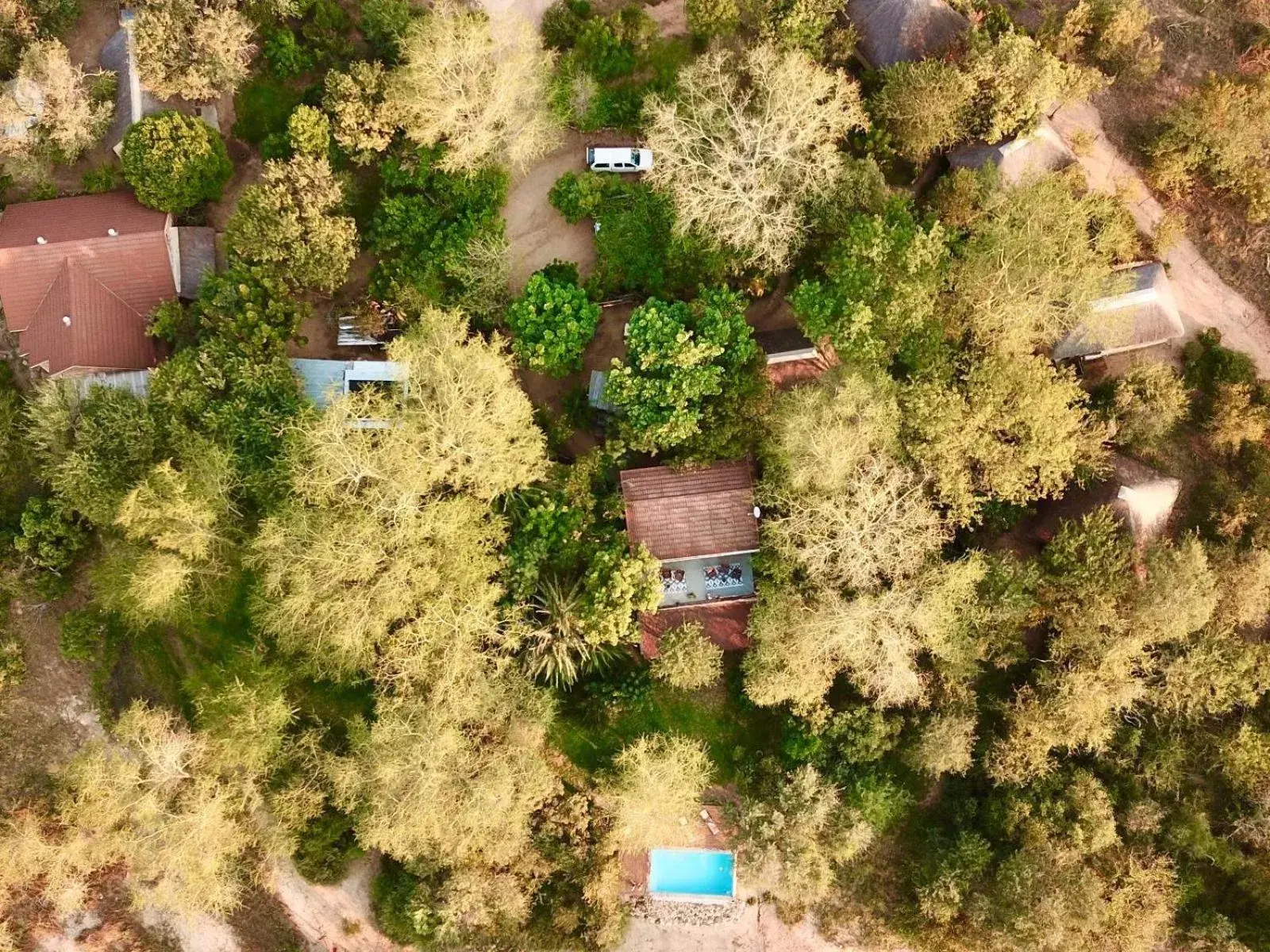 Bird's eye view in Zazu Private Bush Lodge, Formerly Masodini Bird's eye view in Zazu Private Bush Lodge, Formerly Masodini