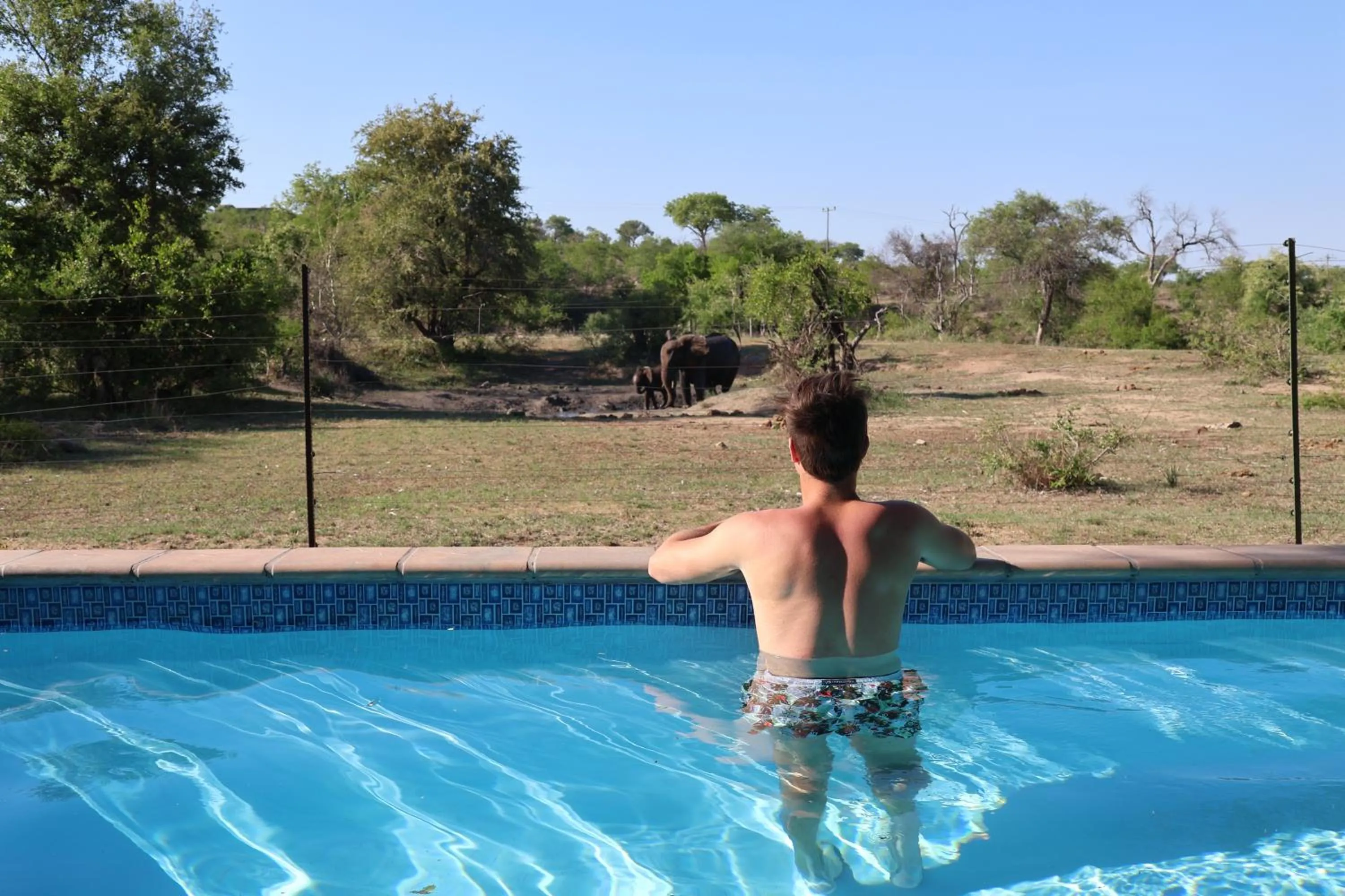 Swimming pool in Masodini Game Lodge