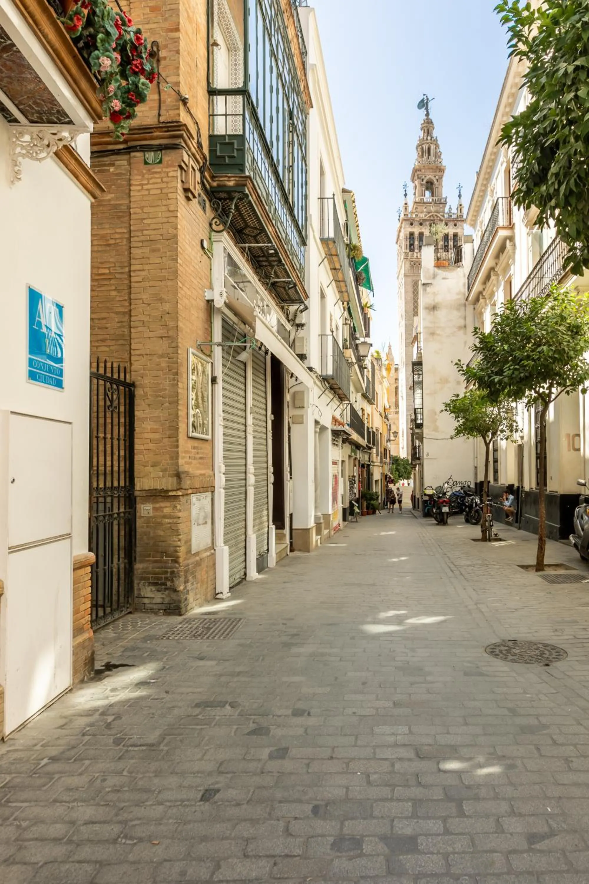 Argote Giralda Deluxe by Valcambre