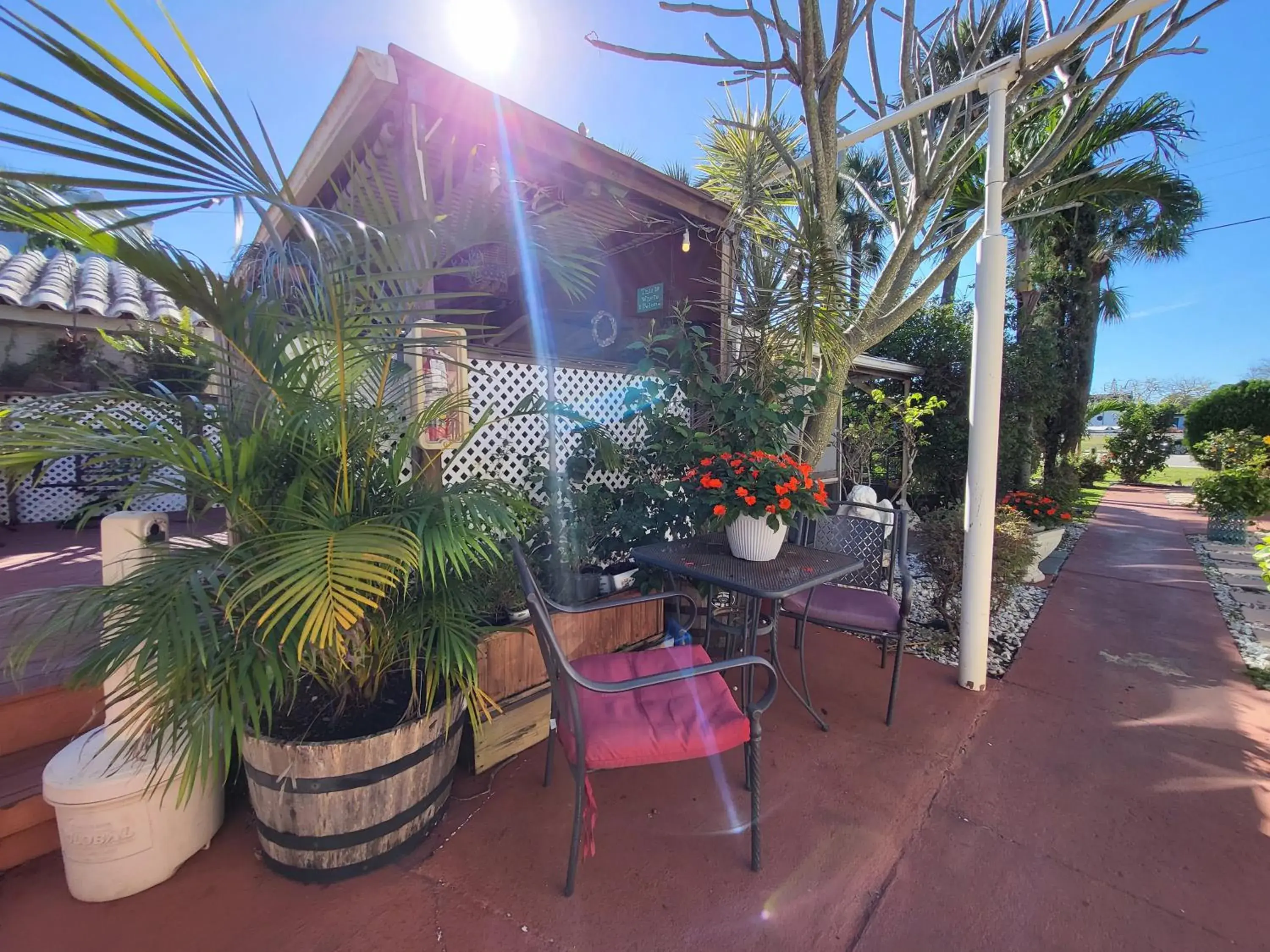 Garden view in Barefoot mailman motel Garden view in Barefoot mailman motel