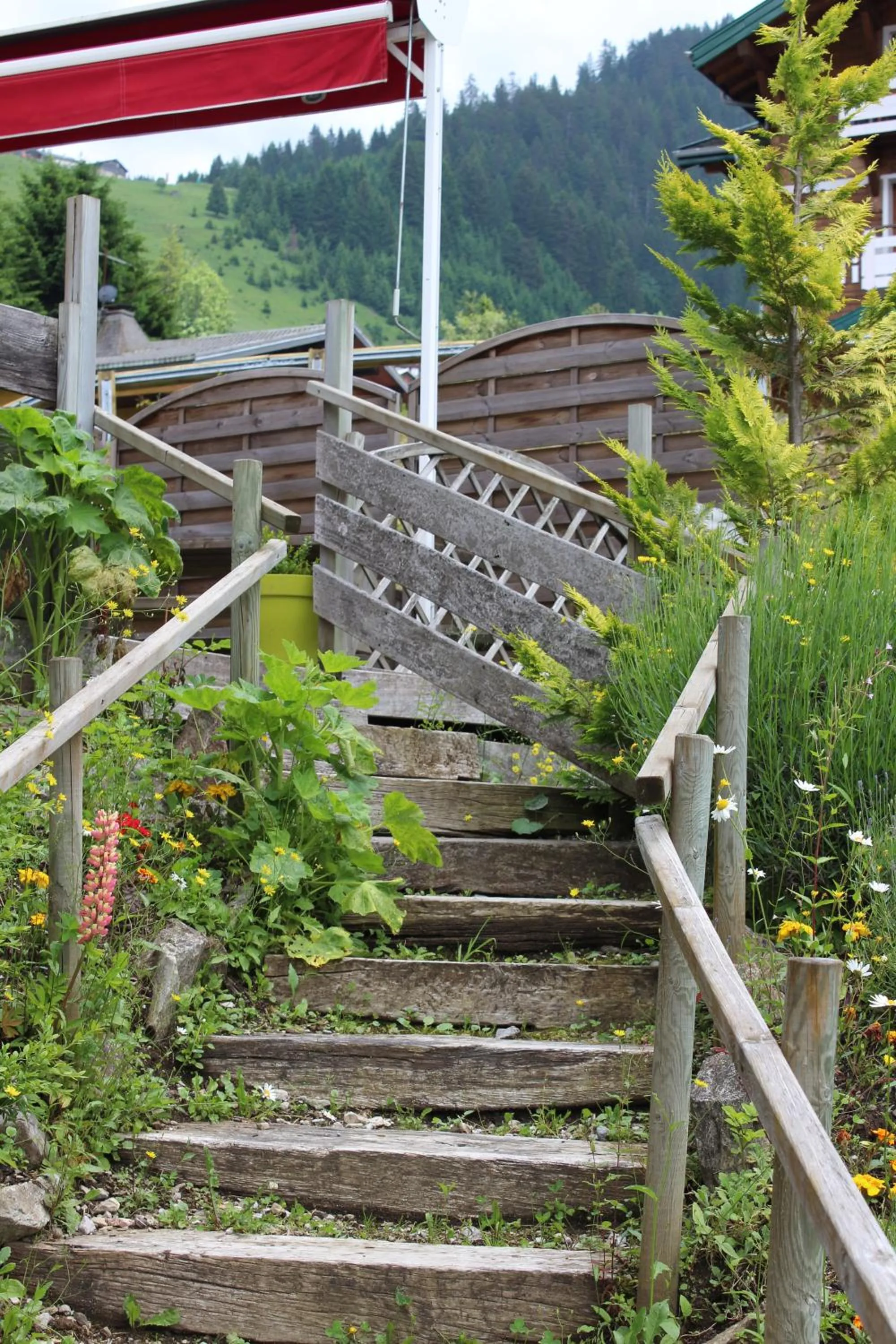 Balcony/Terrace in Le Roitelet