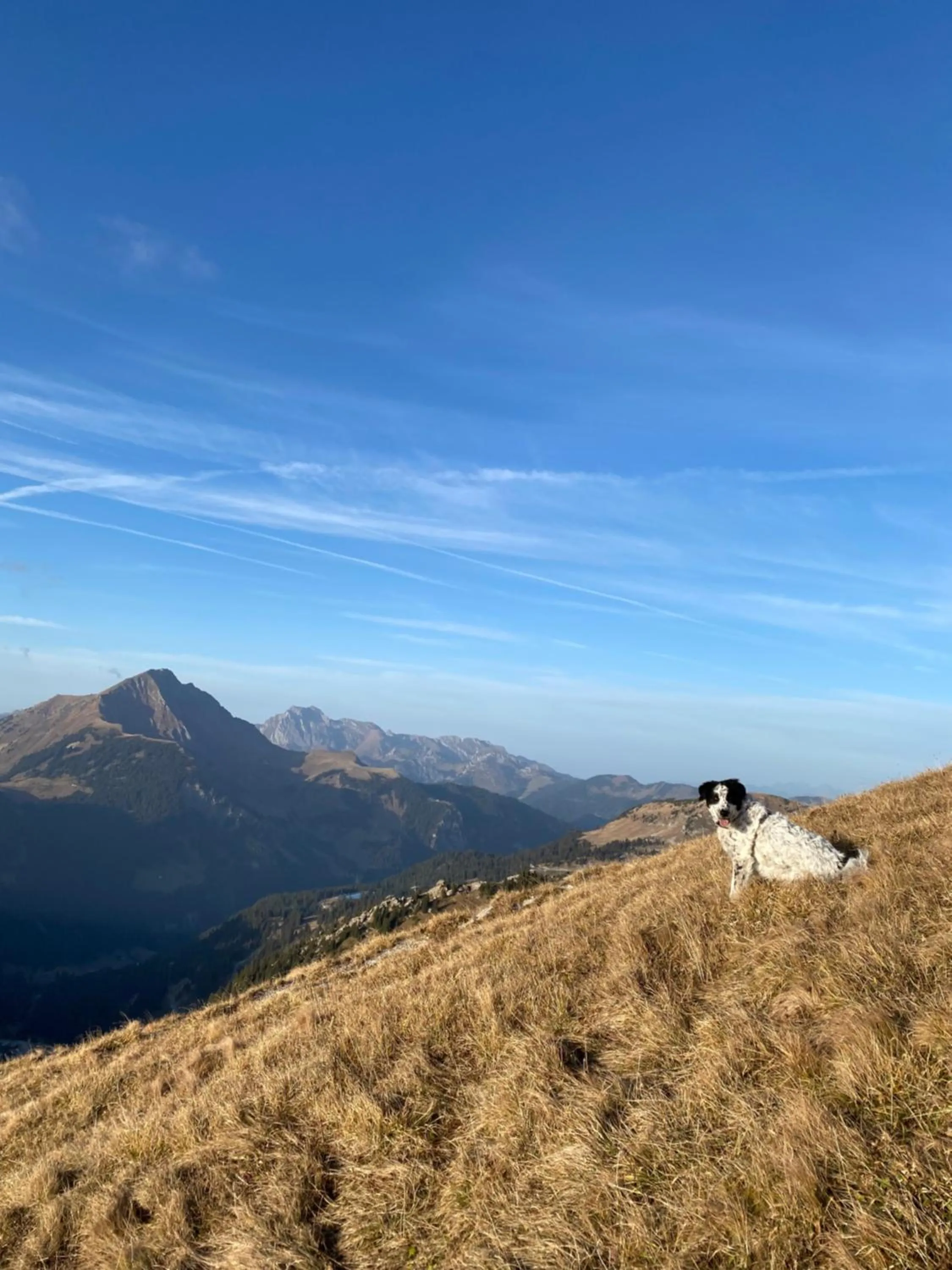 Mountain view in Le Roitelet