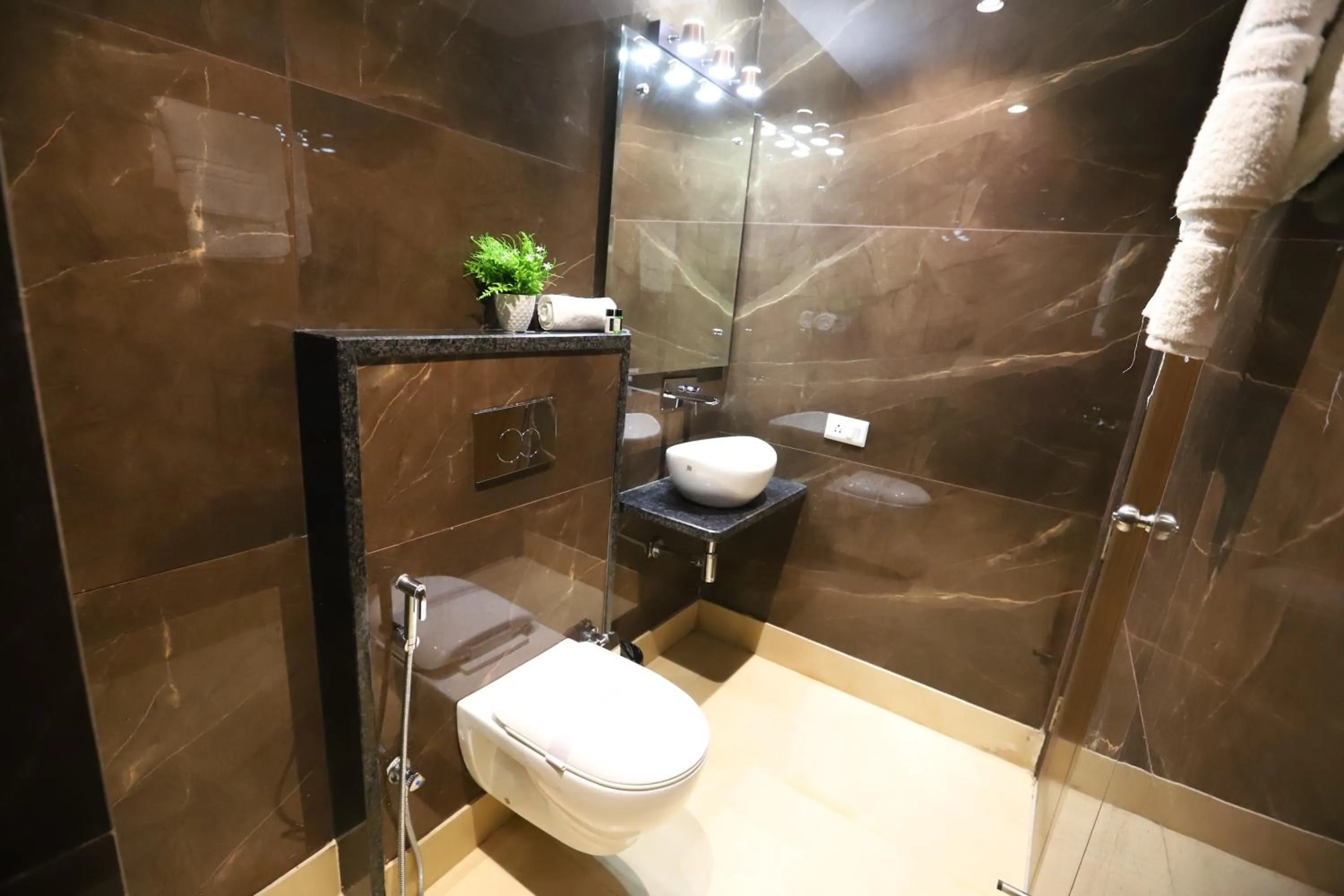 Toilet in Hotel The Magic Tree - Paharganj New Delhi