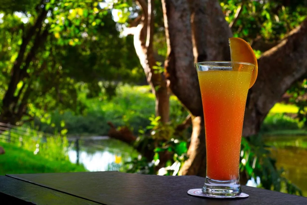 Natural landscape in Qaribu Inn Boutique Hotel Nairobi