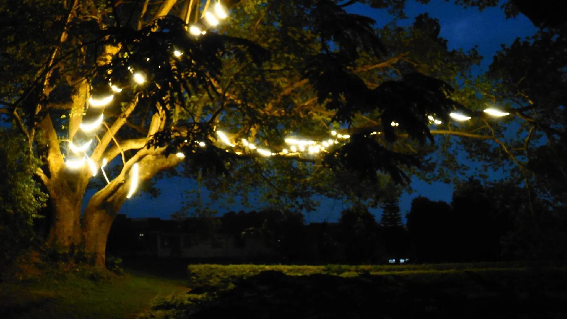 Night in Qaribu Inn Boutique Hotel Nairobi