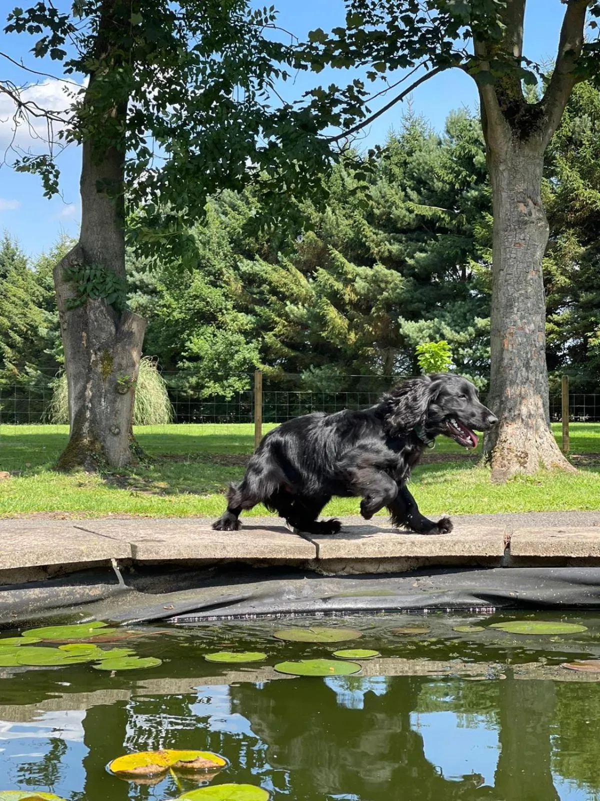 Garden view in Wood Rising