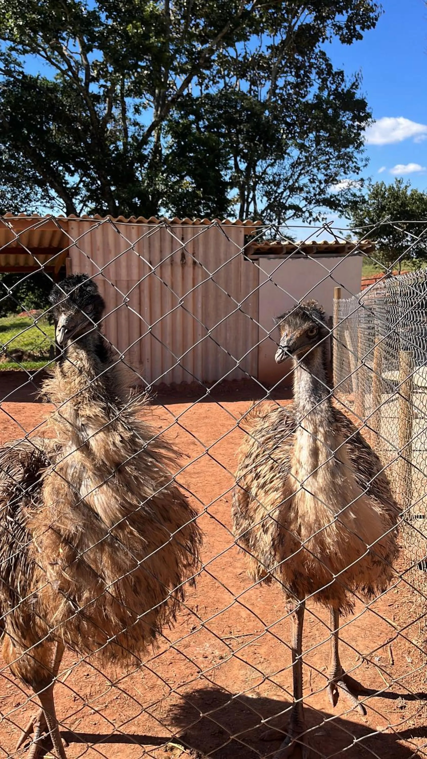 Hotel Chalés Capitanias