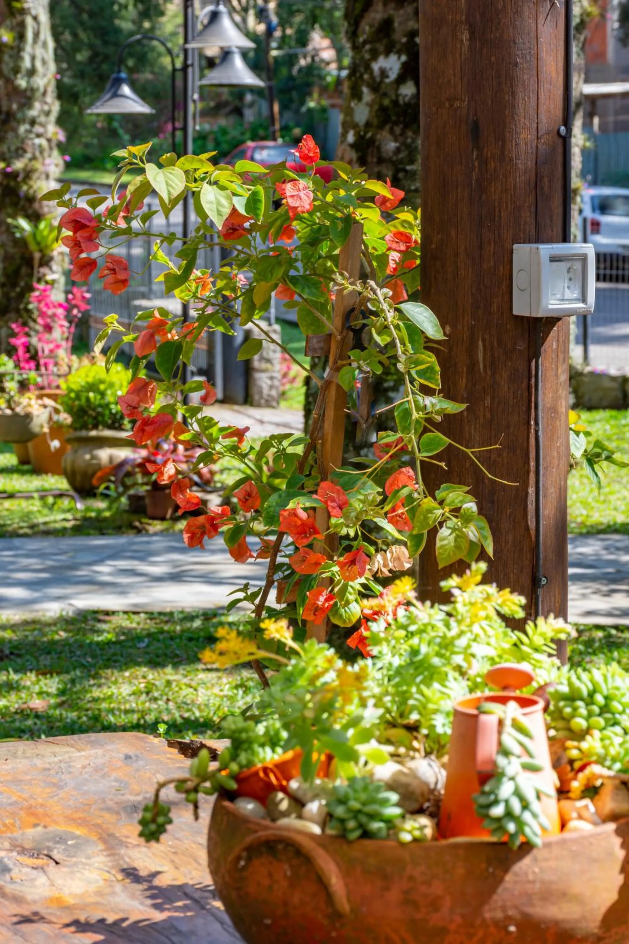 Day in Pousada Vila 505