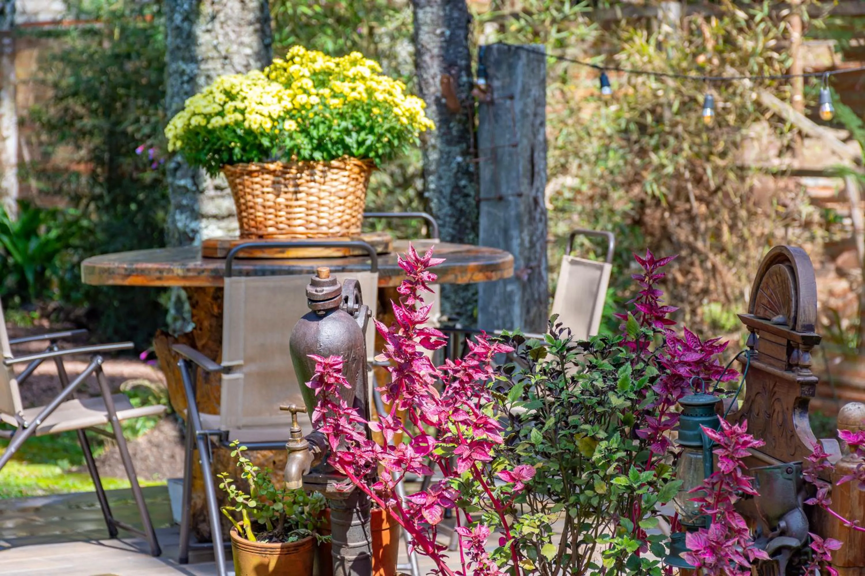 Spring in Pousada Vila 505