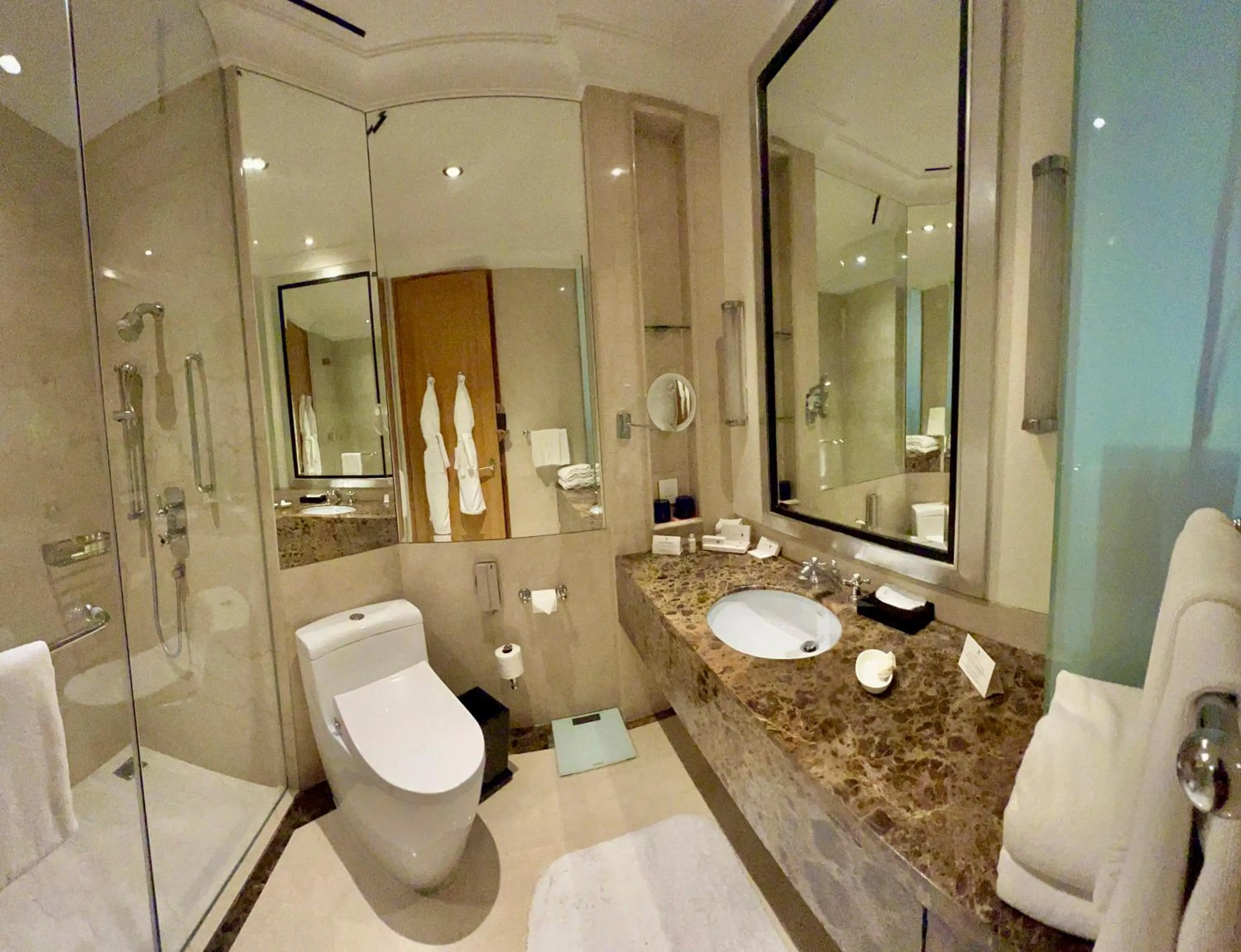 Bathroom in Trident Gurgaon