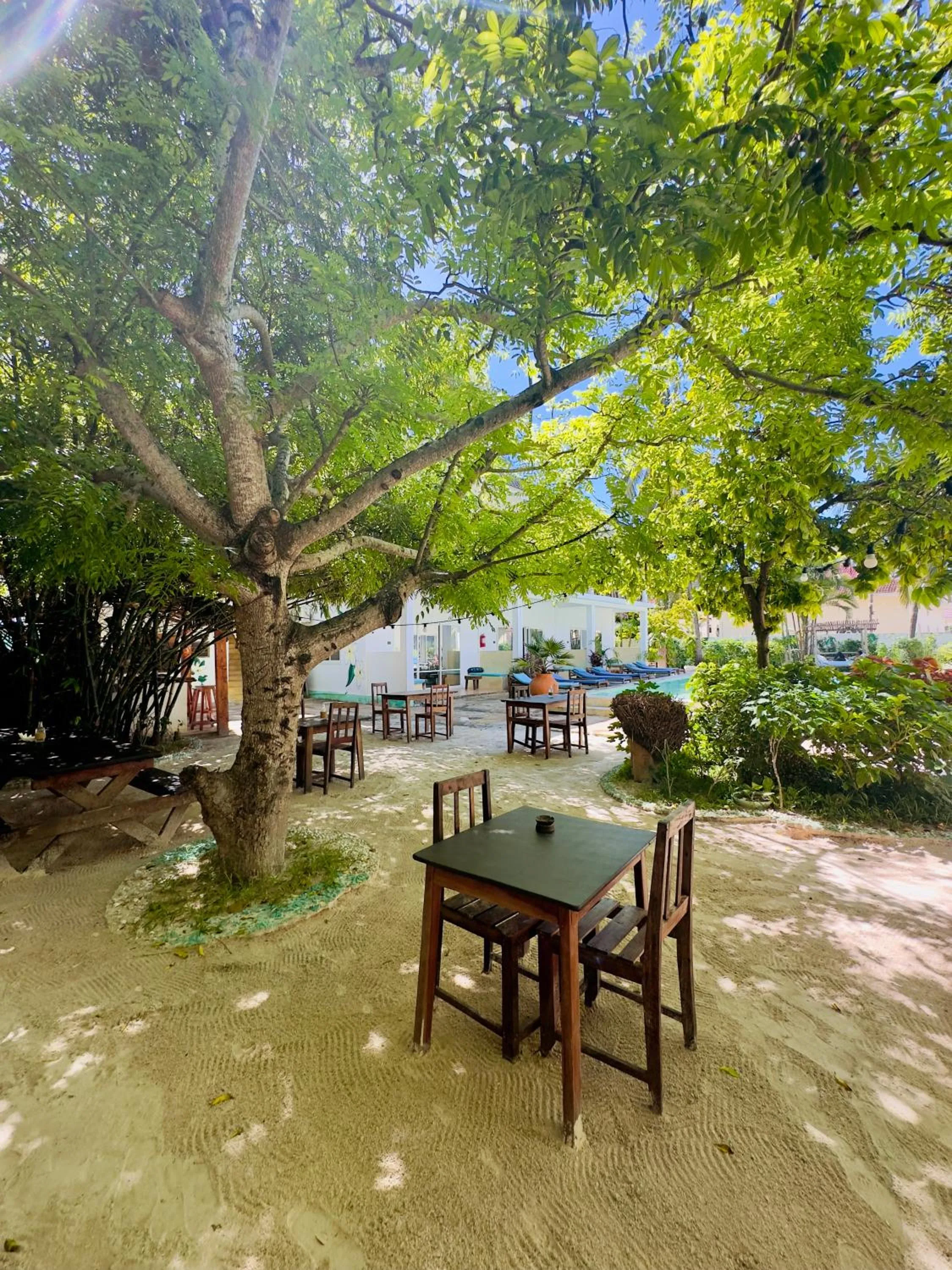 Restaurant/places to eat in Frangi'pwani