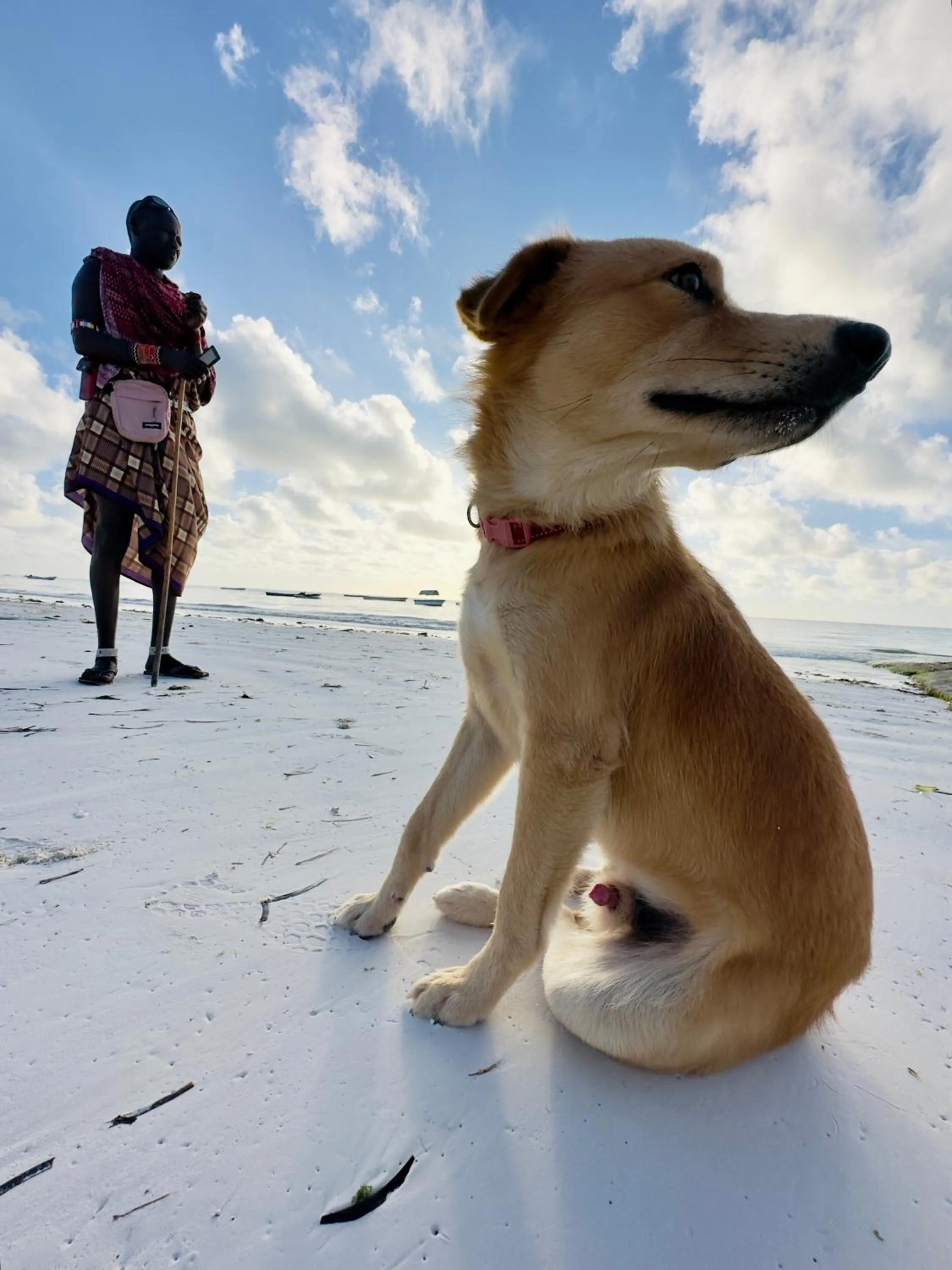 Beach in Frangi'pwani