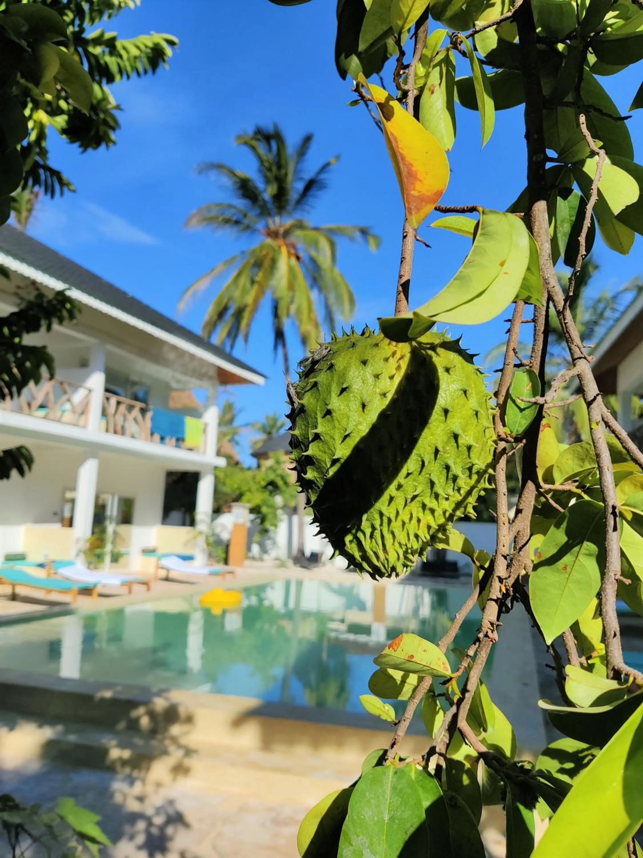 Property building in Frangi'pwani