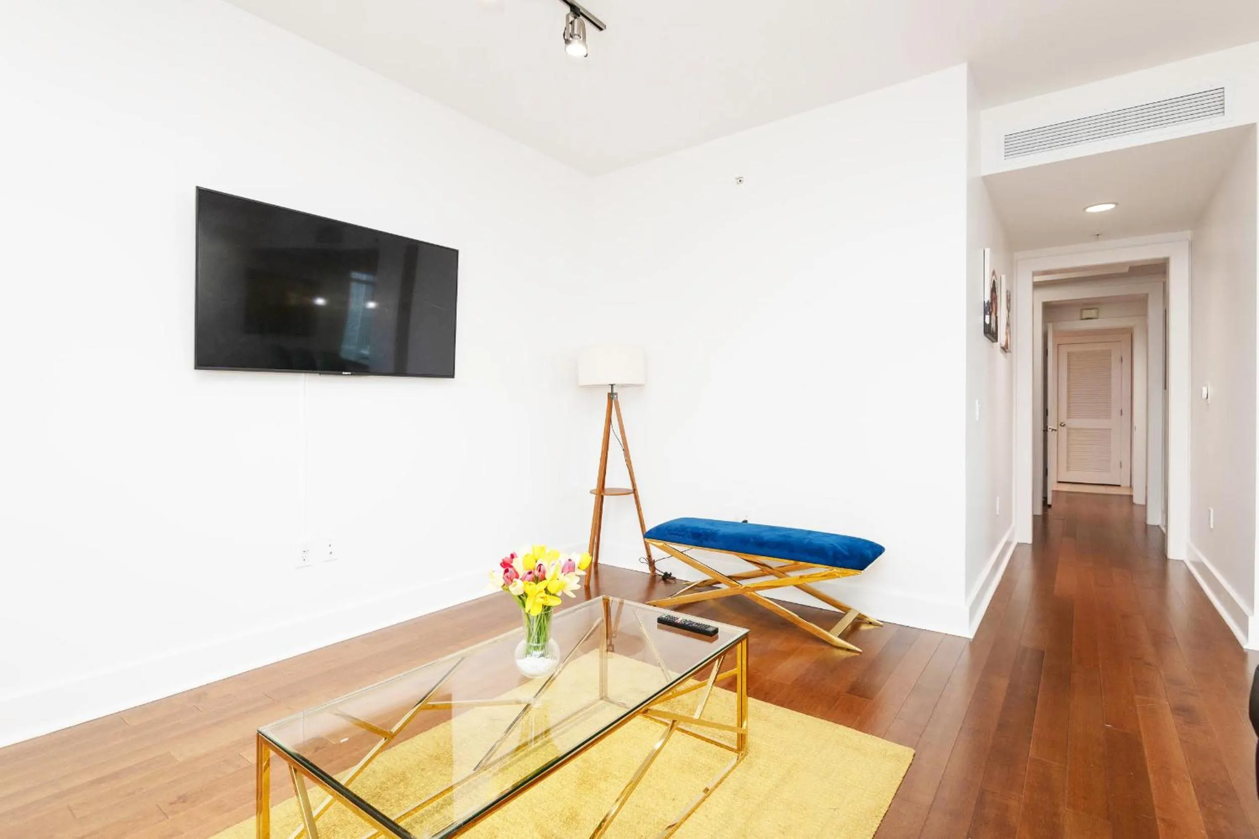 TV and multimedia in Sky-Rise Apartments