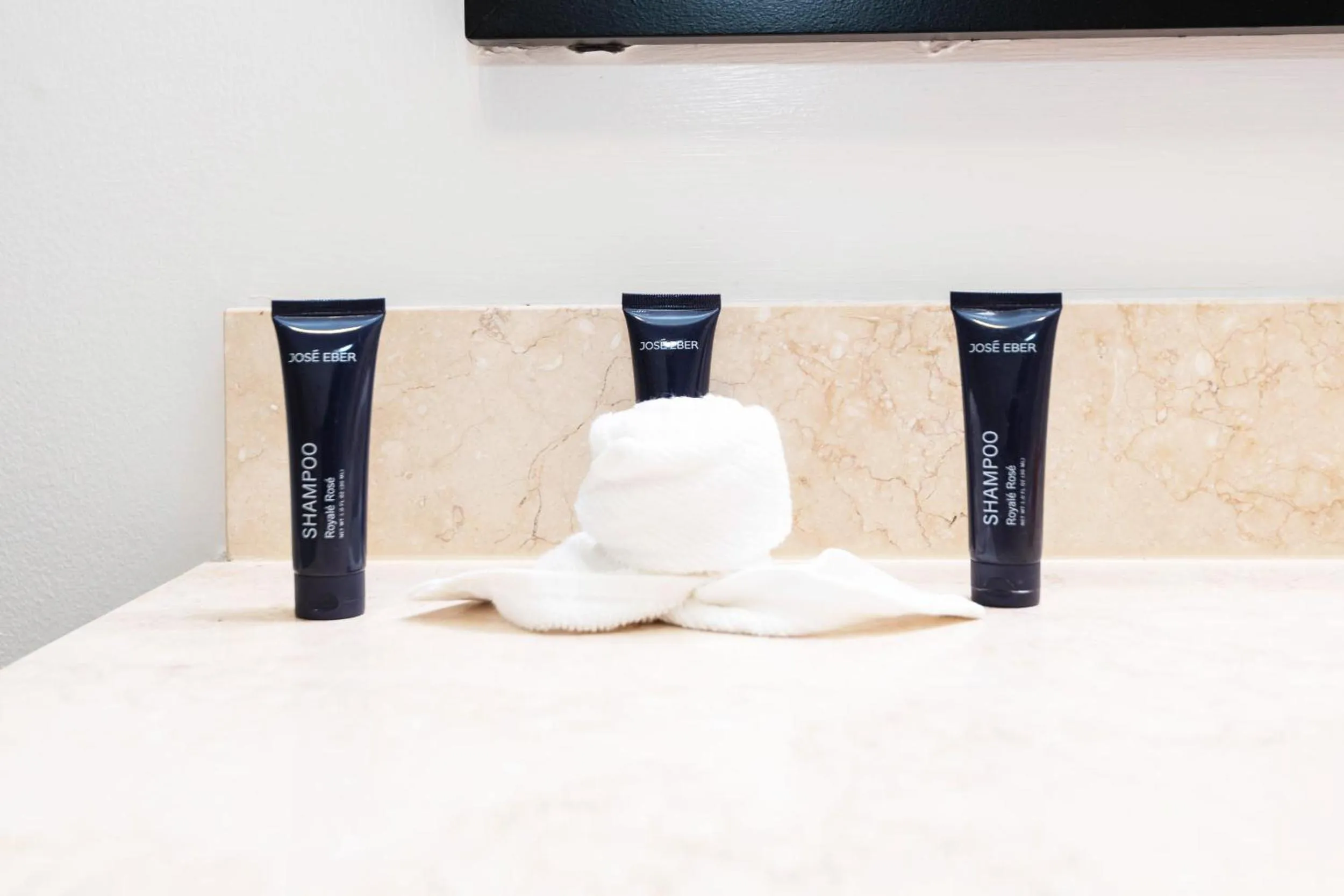 hair dryier in Sky-Rise Apartments