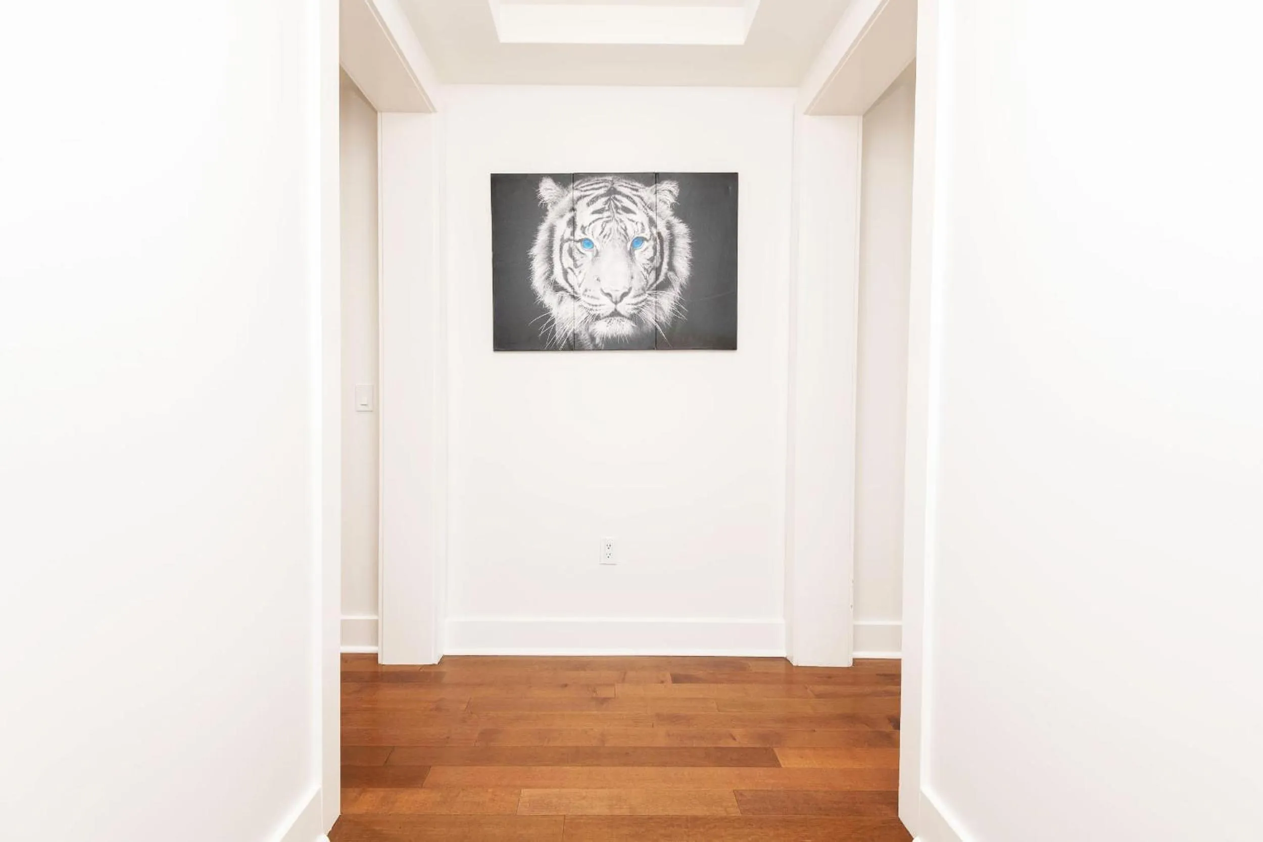 Decorative detail in Sky-Rise Apartments