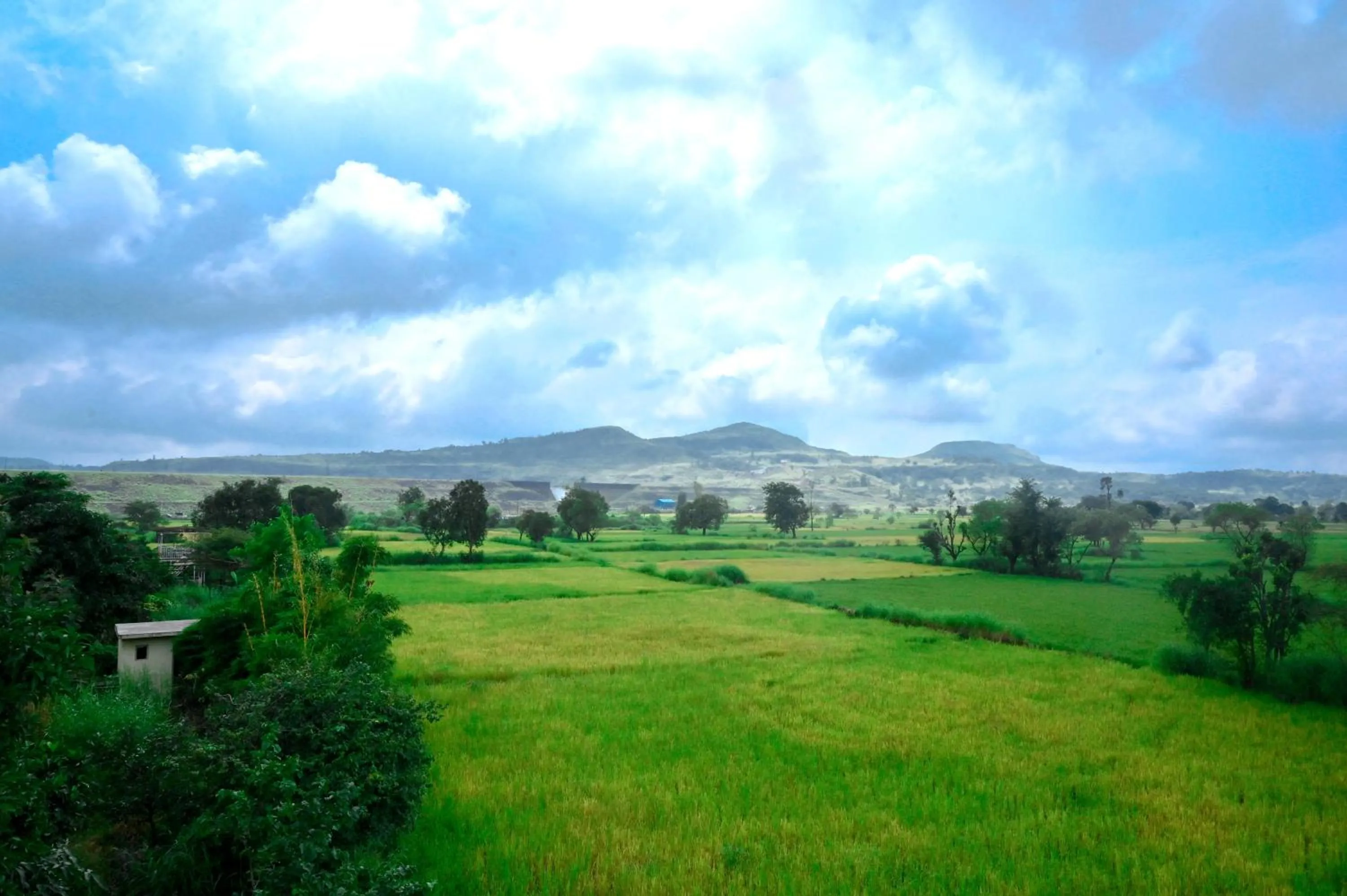 View (from property/room) in KK Tree Retreat Igatpuri