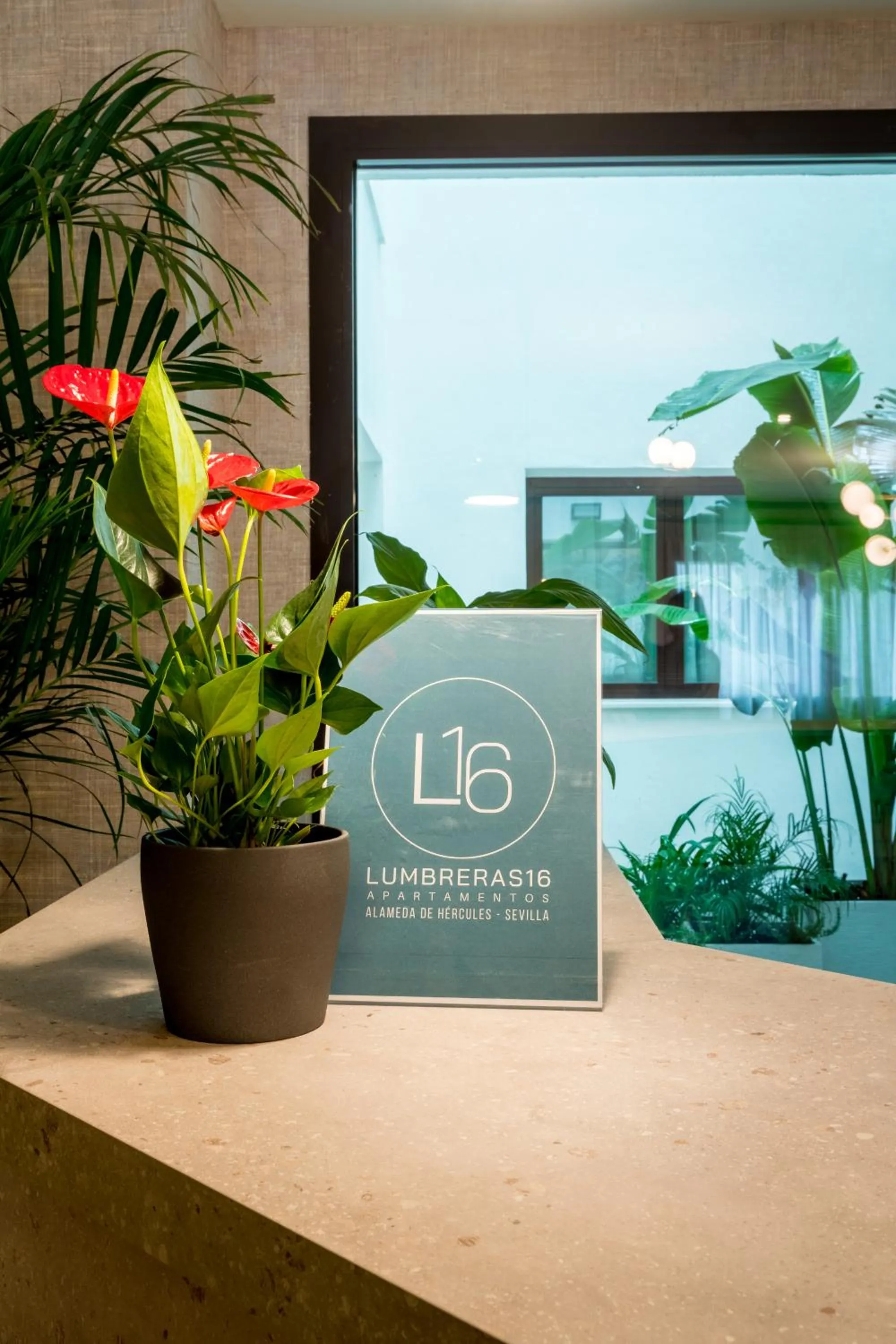 Lobby or reception in atLumbreras16