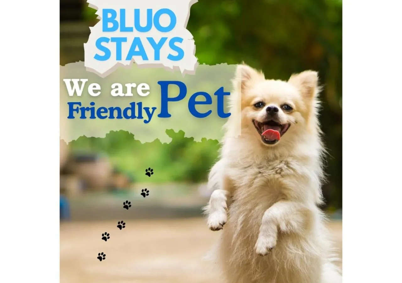 BluO Studio - M Block Mkt Greater Kailash