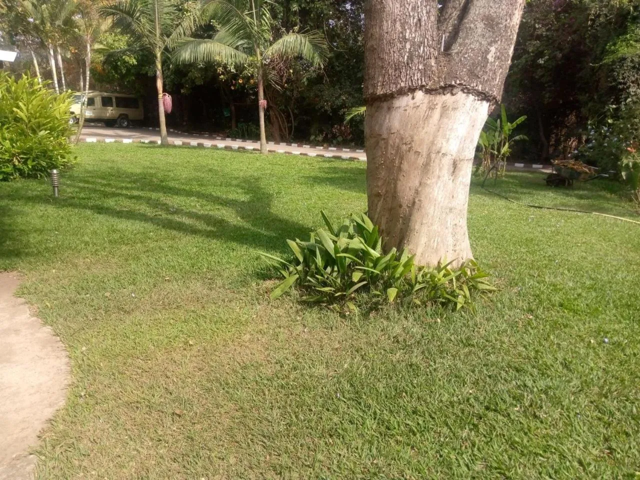 Garden in Karibu Heritage House